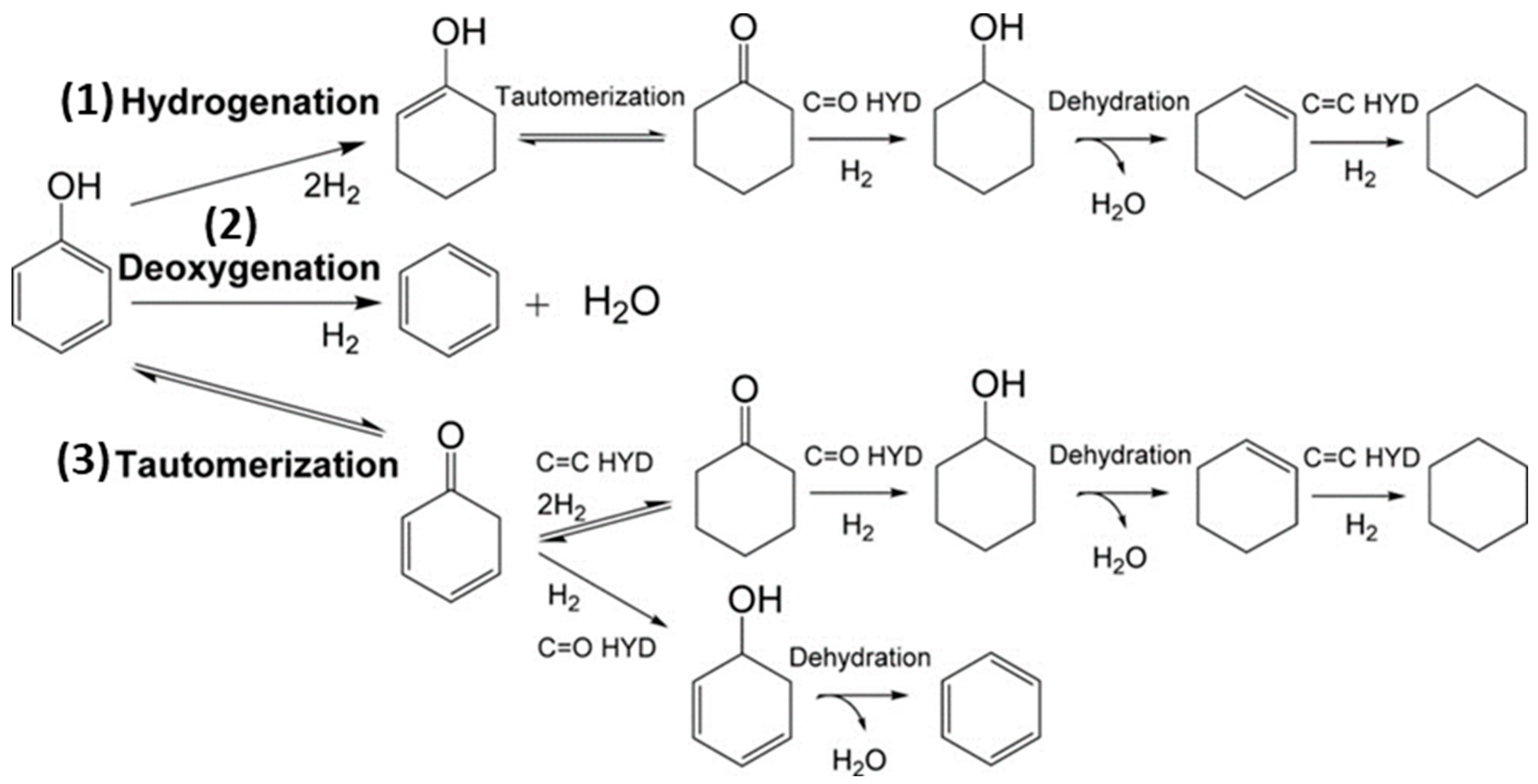Nanomaterials 13 02845 g001