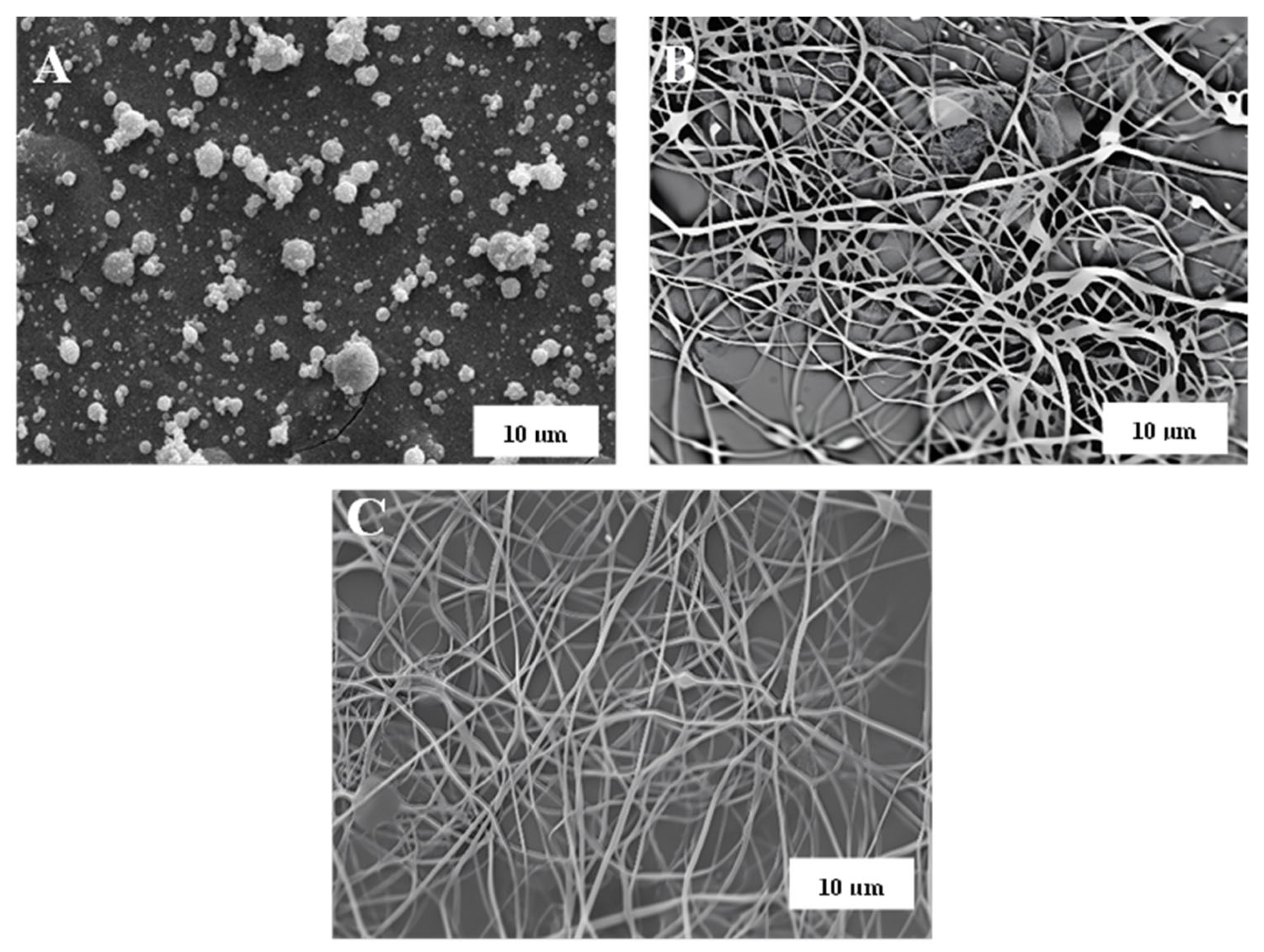 Nanomaterials 13 02852 g002