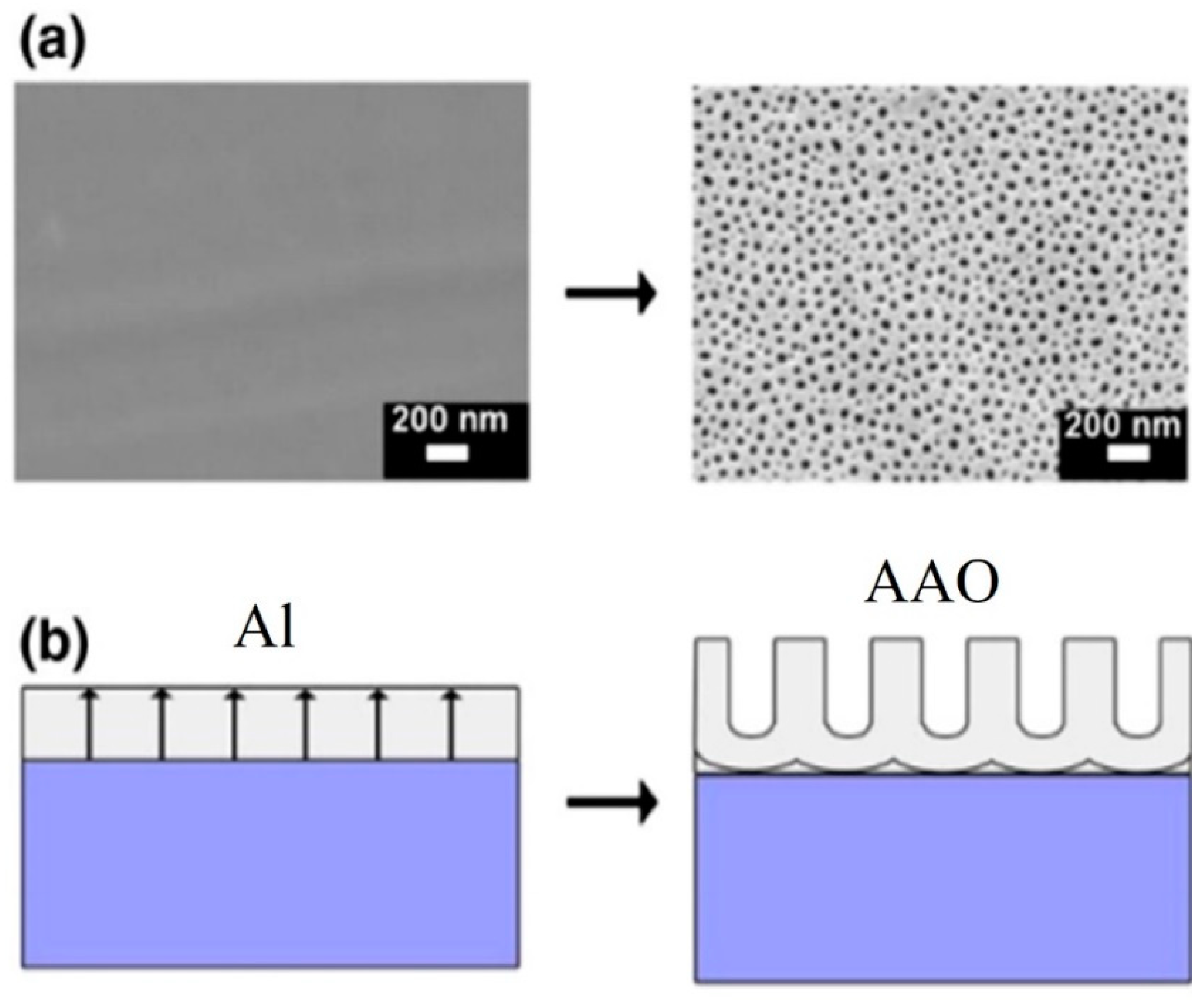 Nanomaterials 13 02853 g009