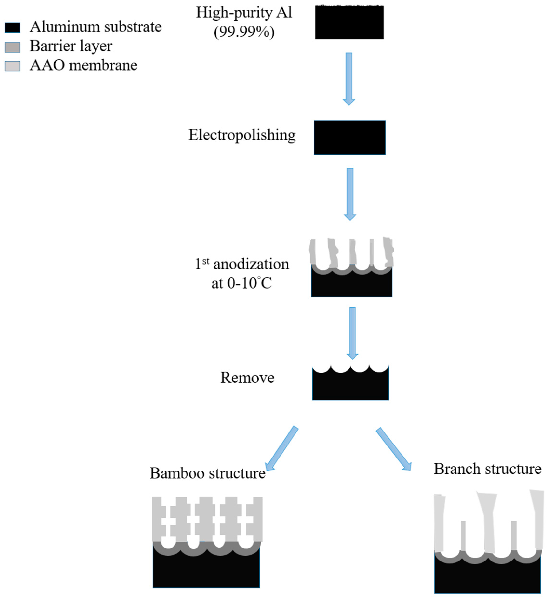 Nanomaterials 13 02853 g010