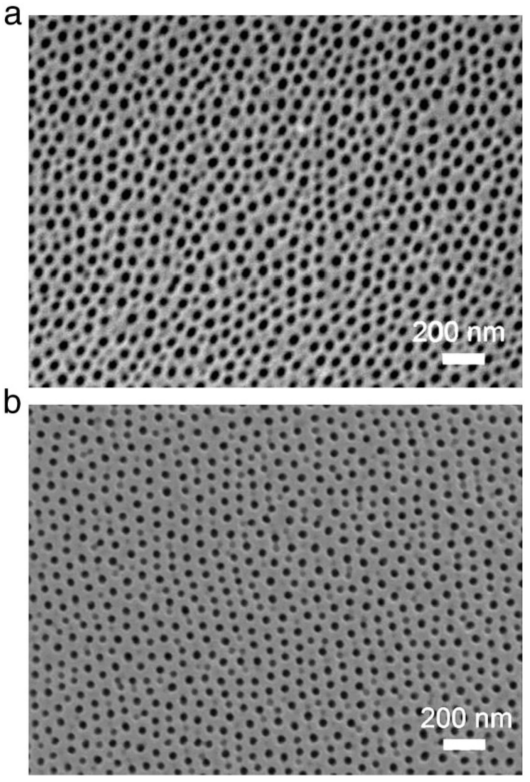 Nanomaterials 13 02853 g011