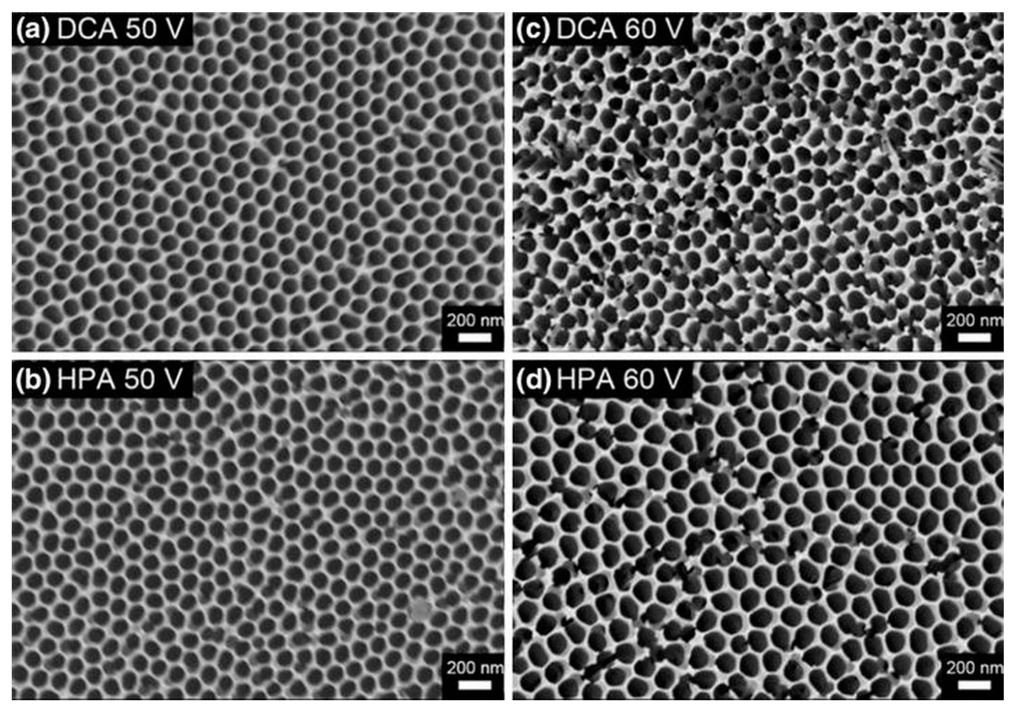 Nanomaterials 13 02853 g015