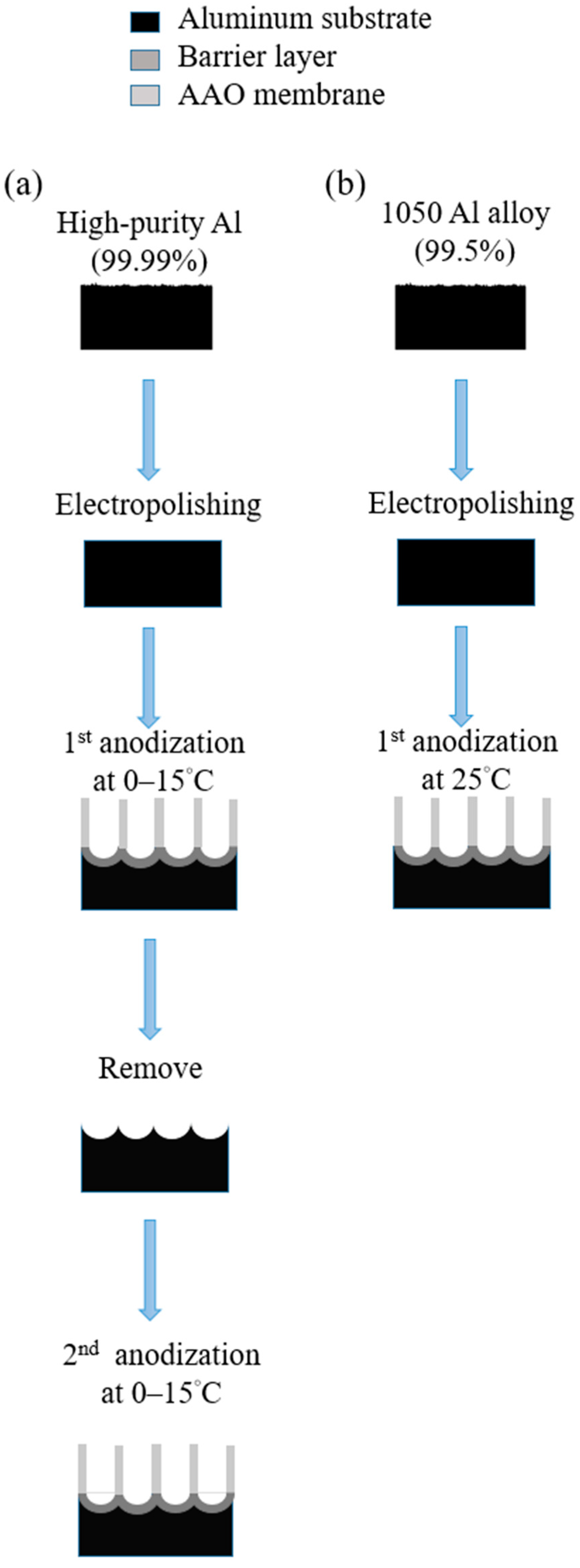 Nanomaterials 13 02853 g019