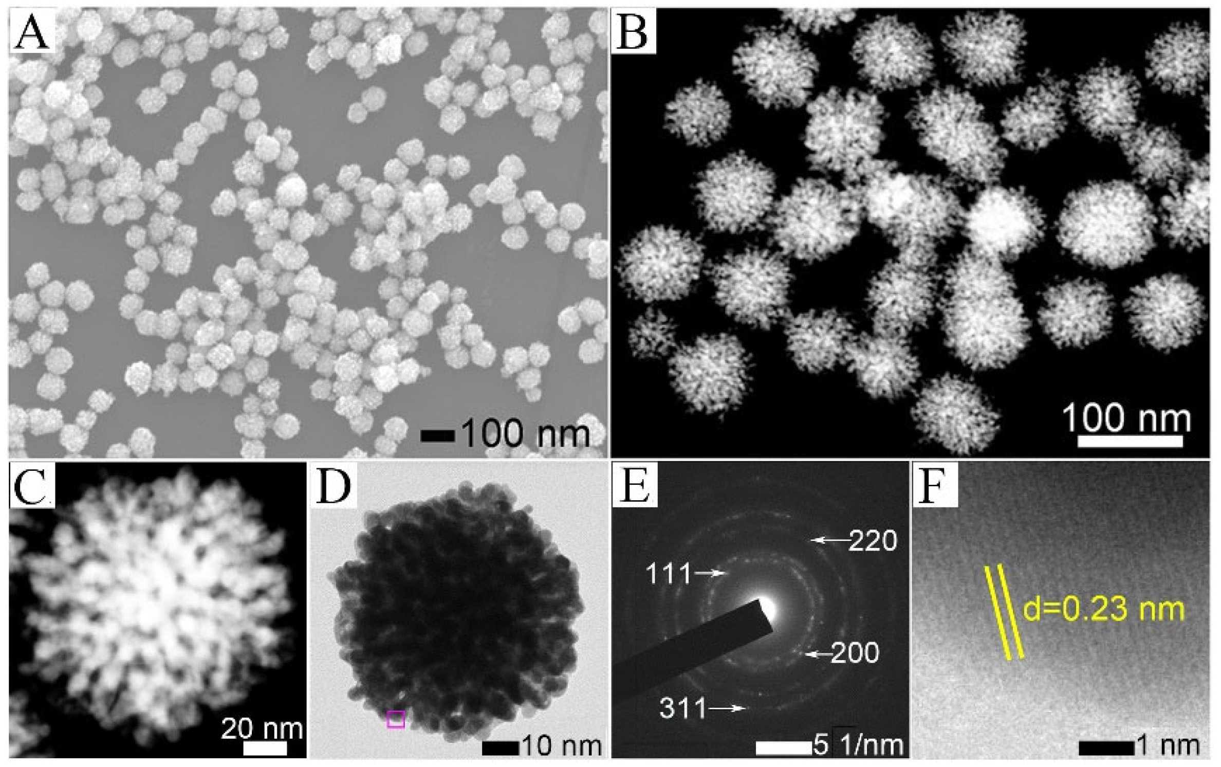 Nanomaterials 13 02855 g001