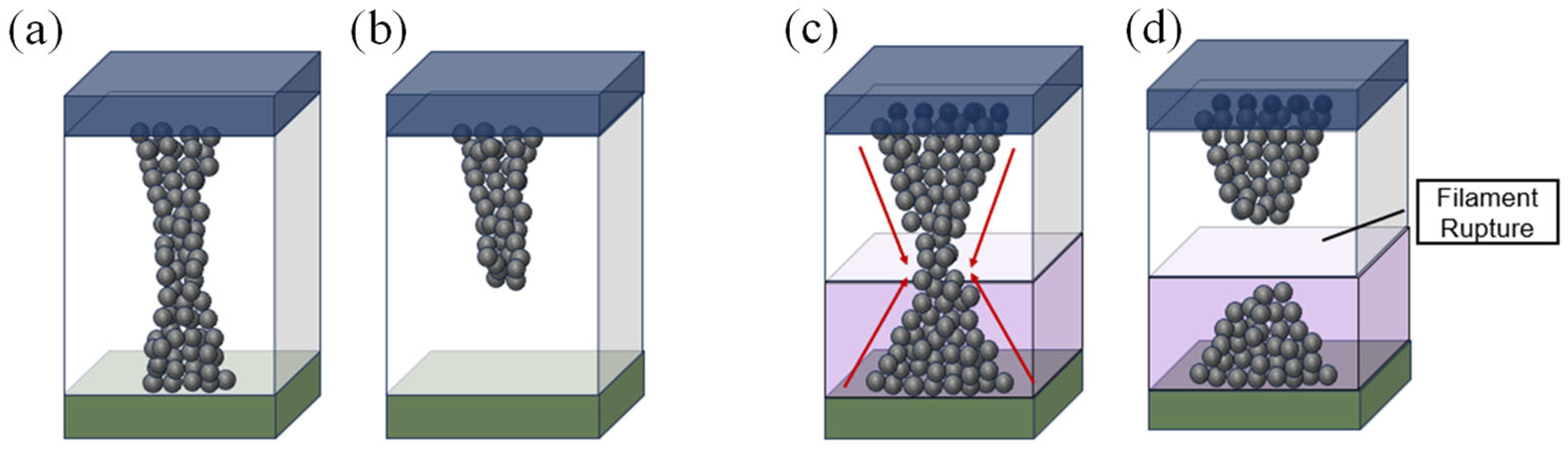 Nanomaterials 13 02856 g006