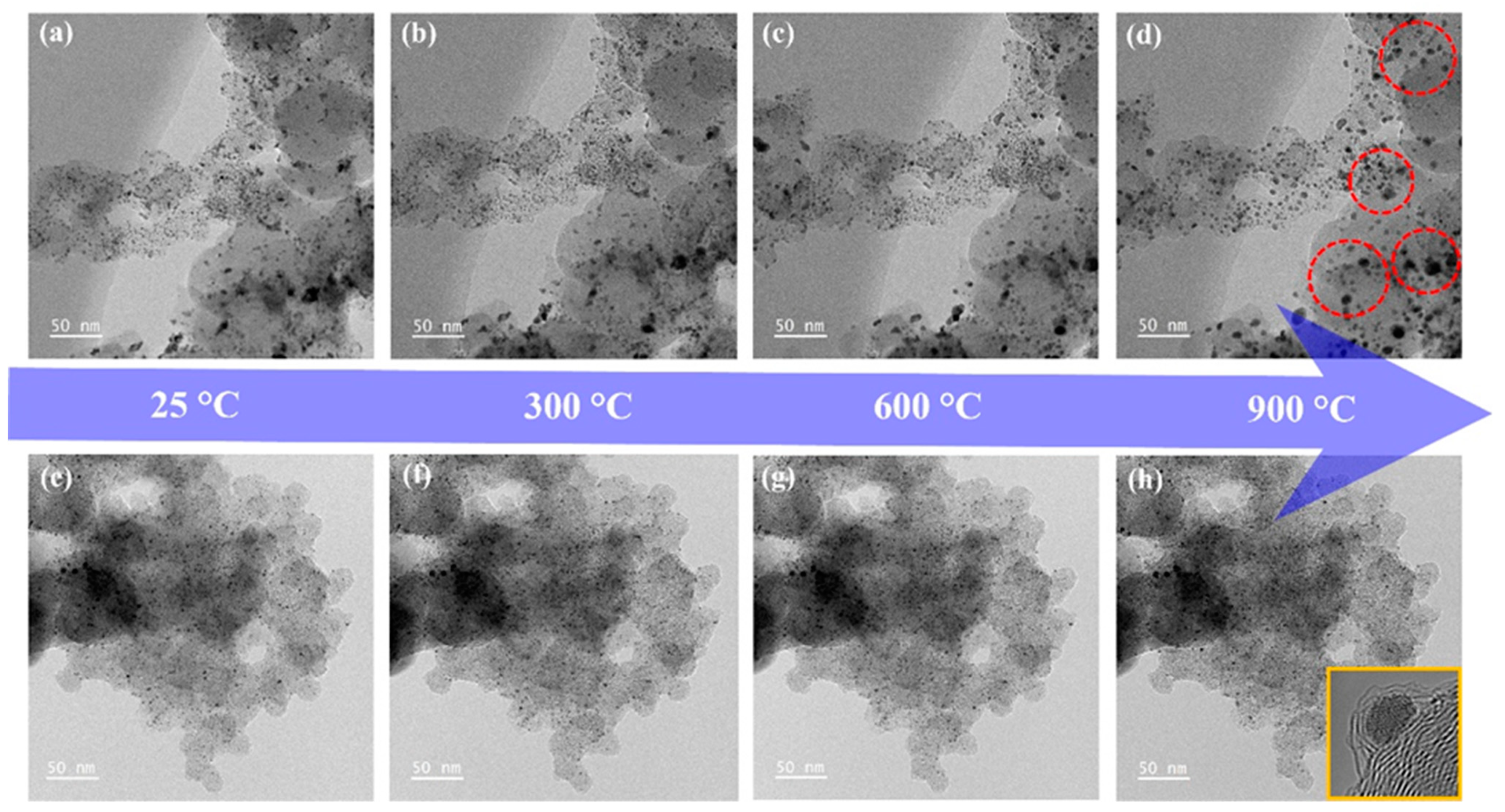 Nanomaterials 13 02862 g004