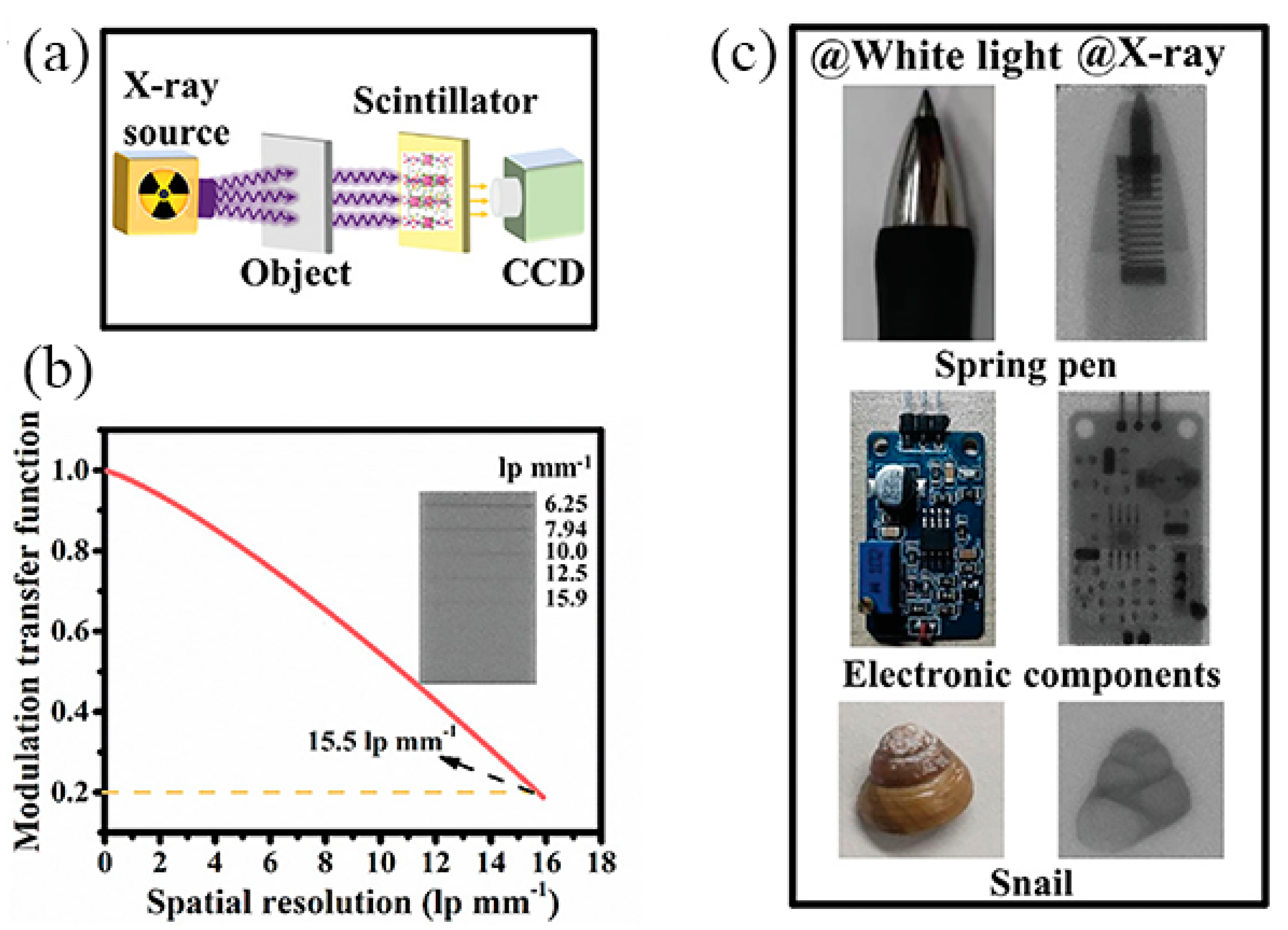 Nanomaterials 13 02867 g014