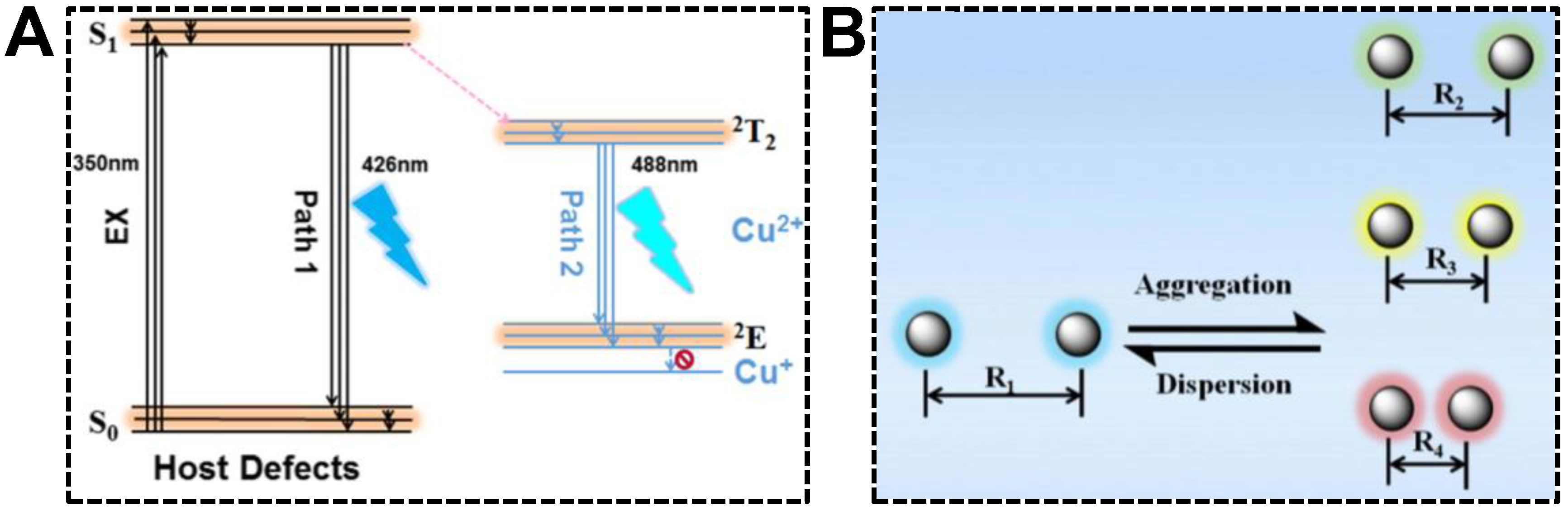 Nanomaterials 13 02869 g006