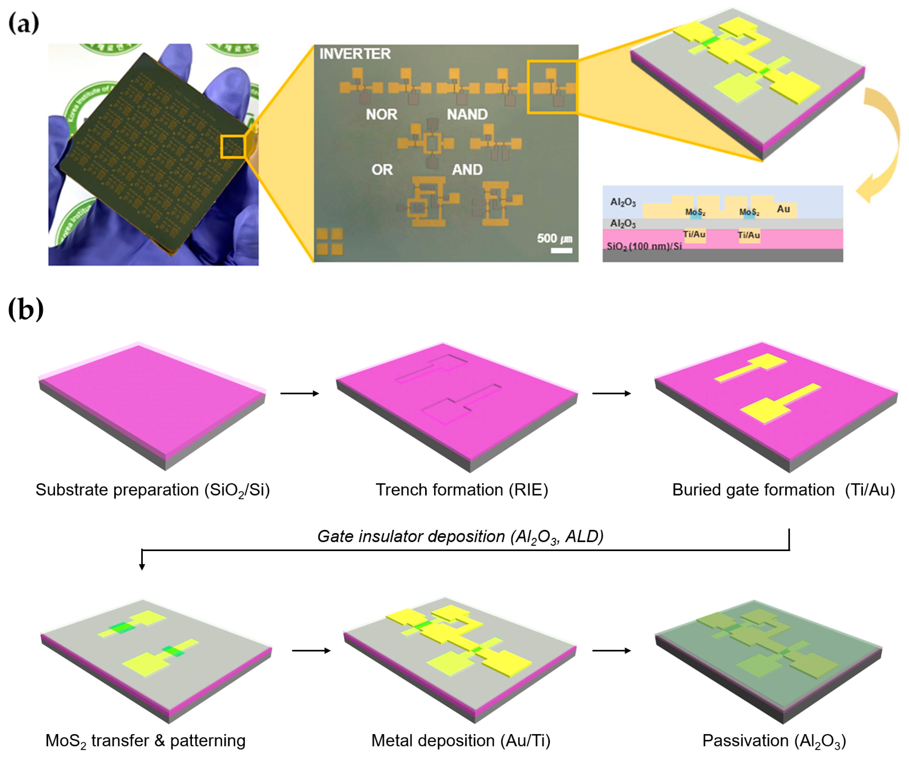 Nanomaterials 13 02870 g001
