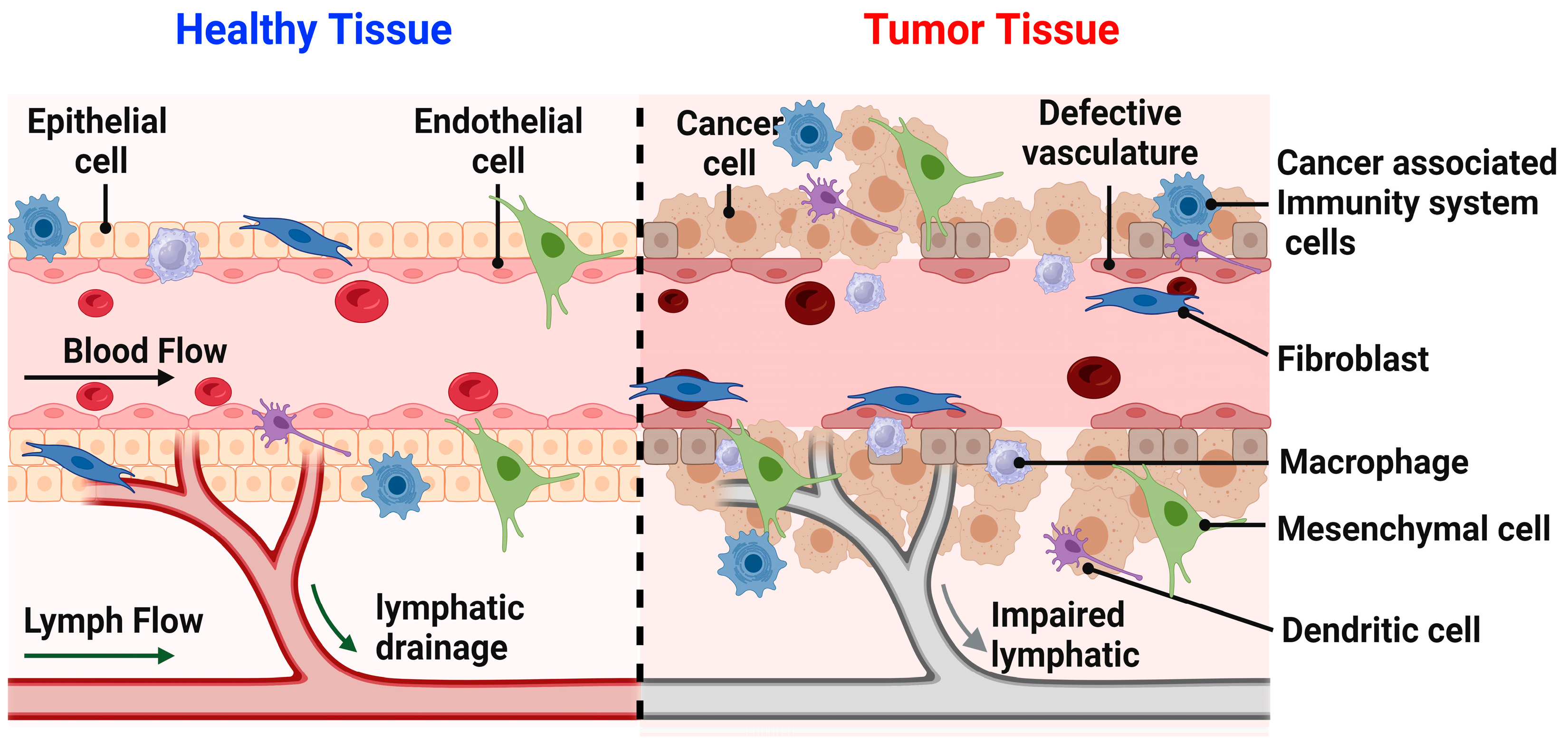 Nanomaterials 13 02873 g002