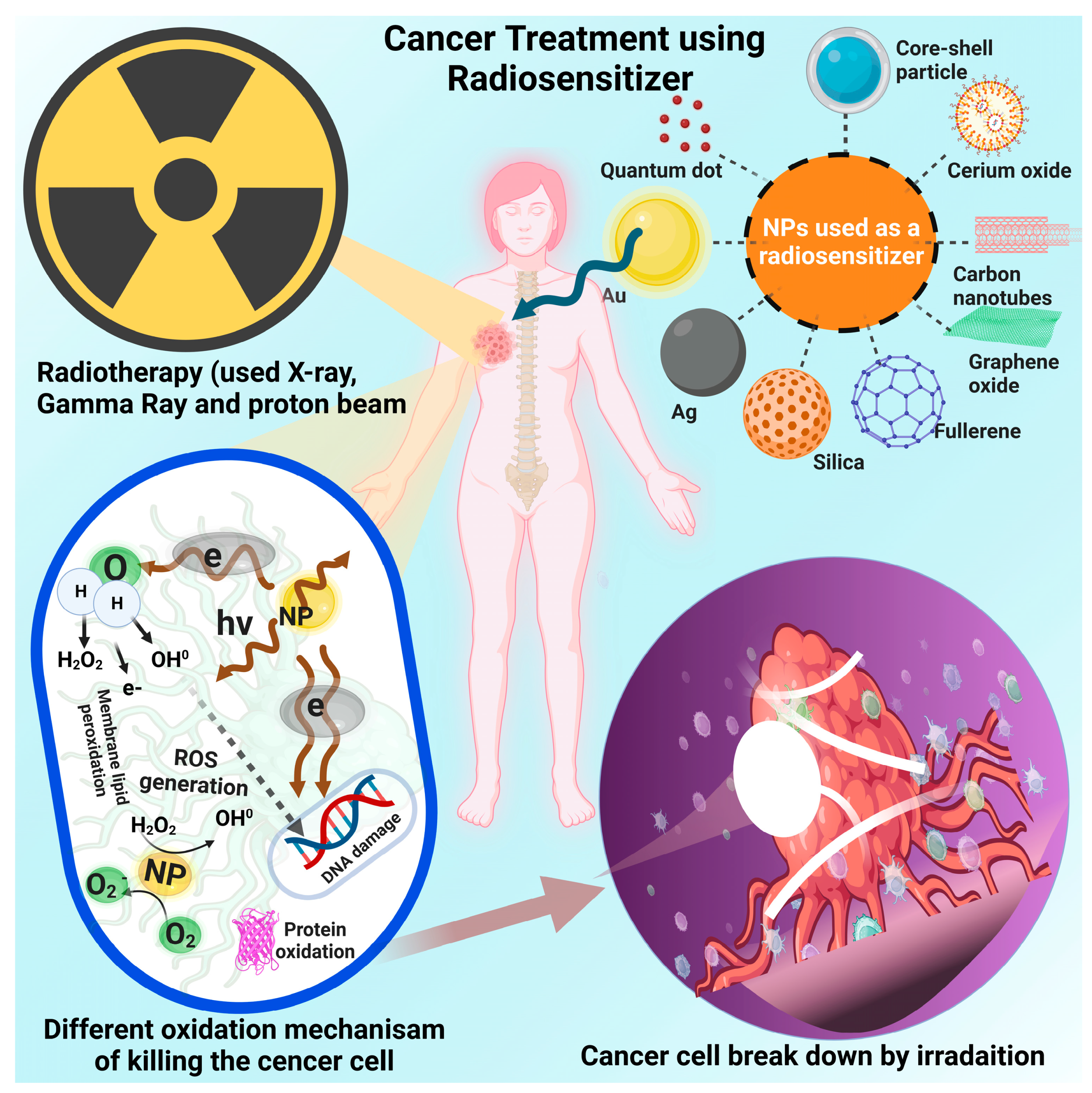 Nanomaterials 13 02873 g005