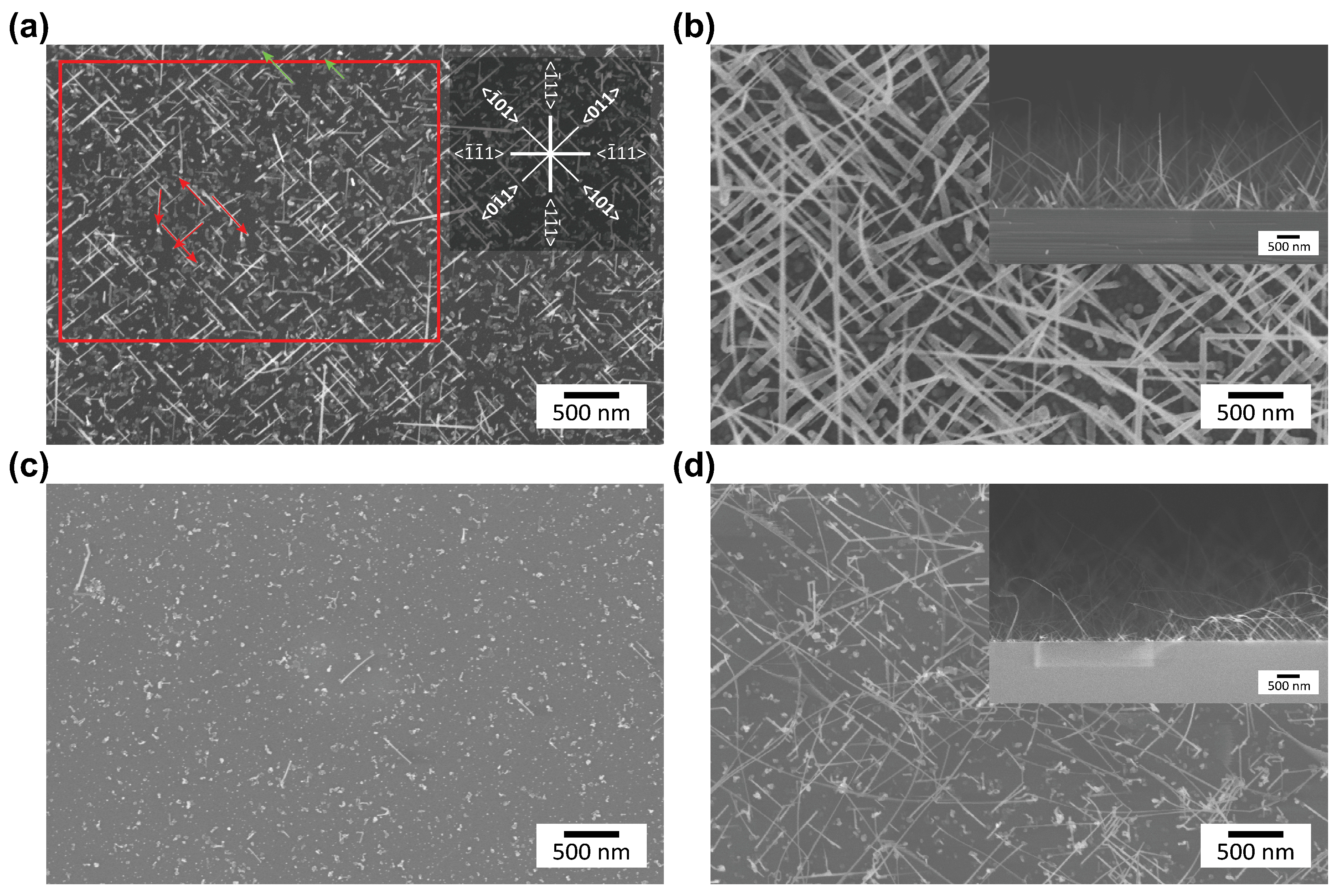 Nanomaterials 13 02879 g001