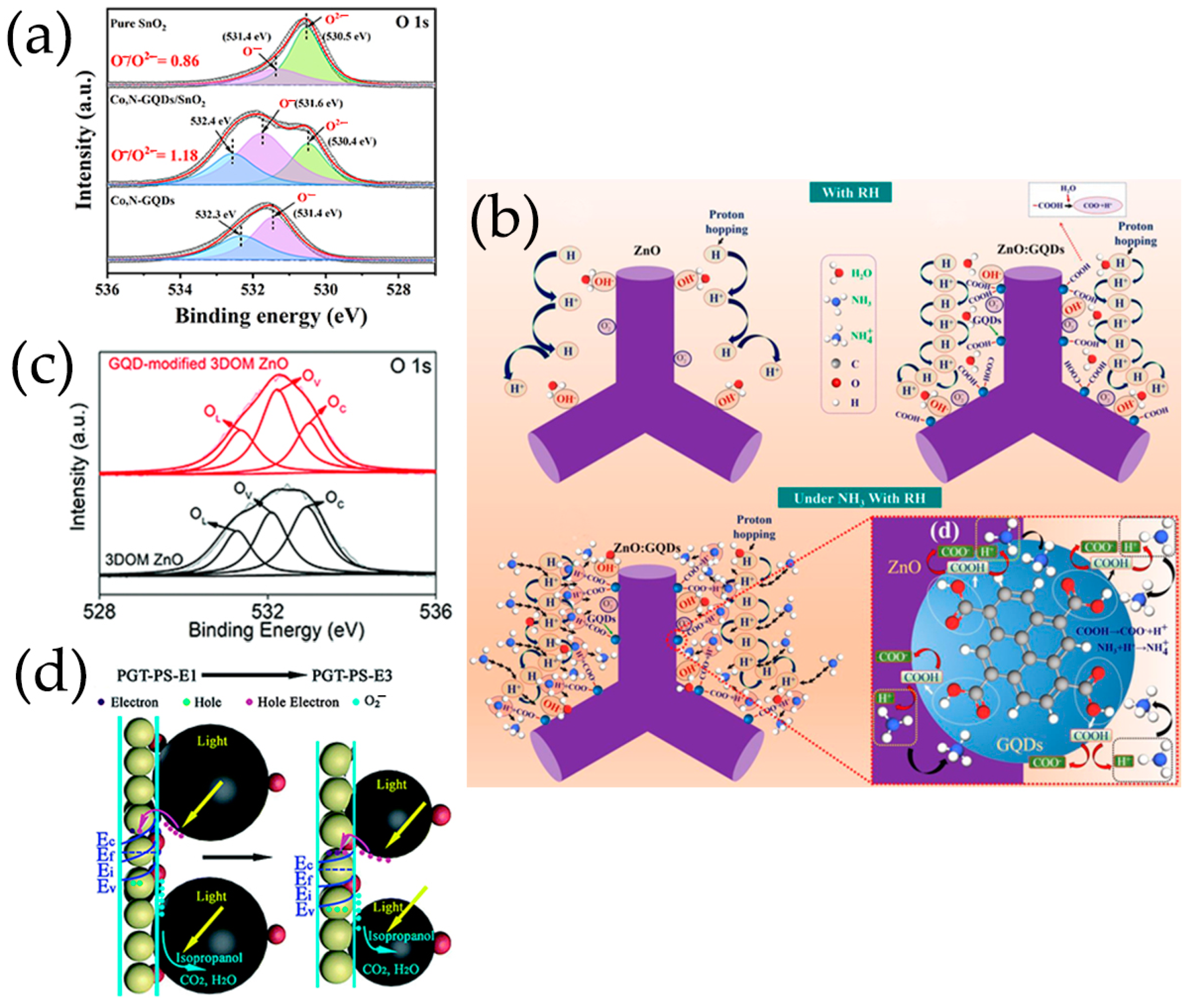 Nanomaterials 13 02880 g012