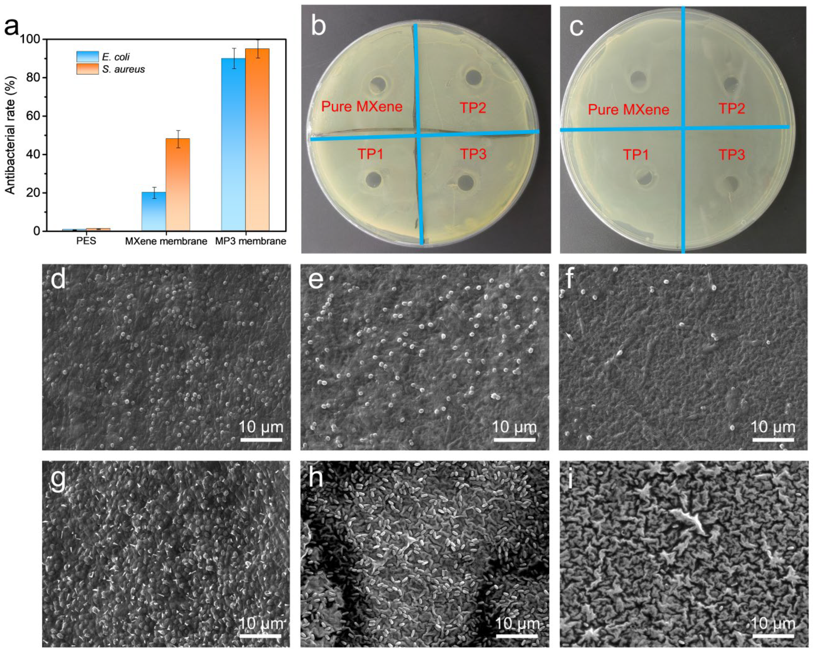 Nanomaterials 13 02885 g006