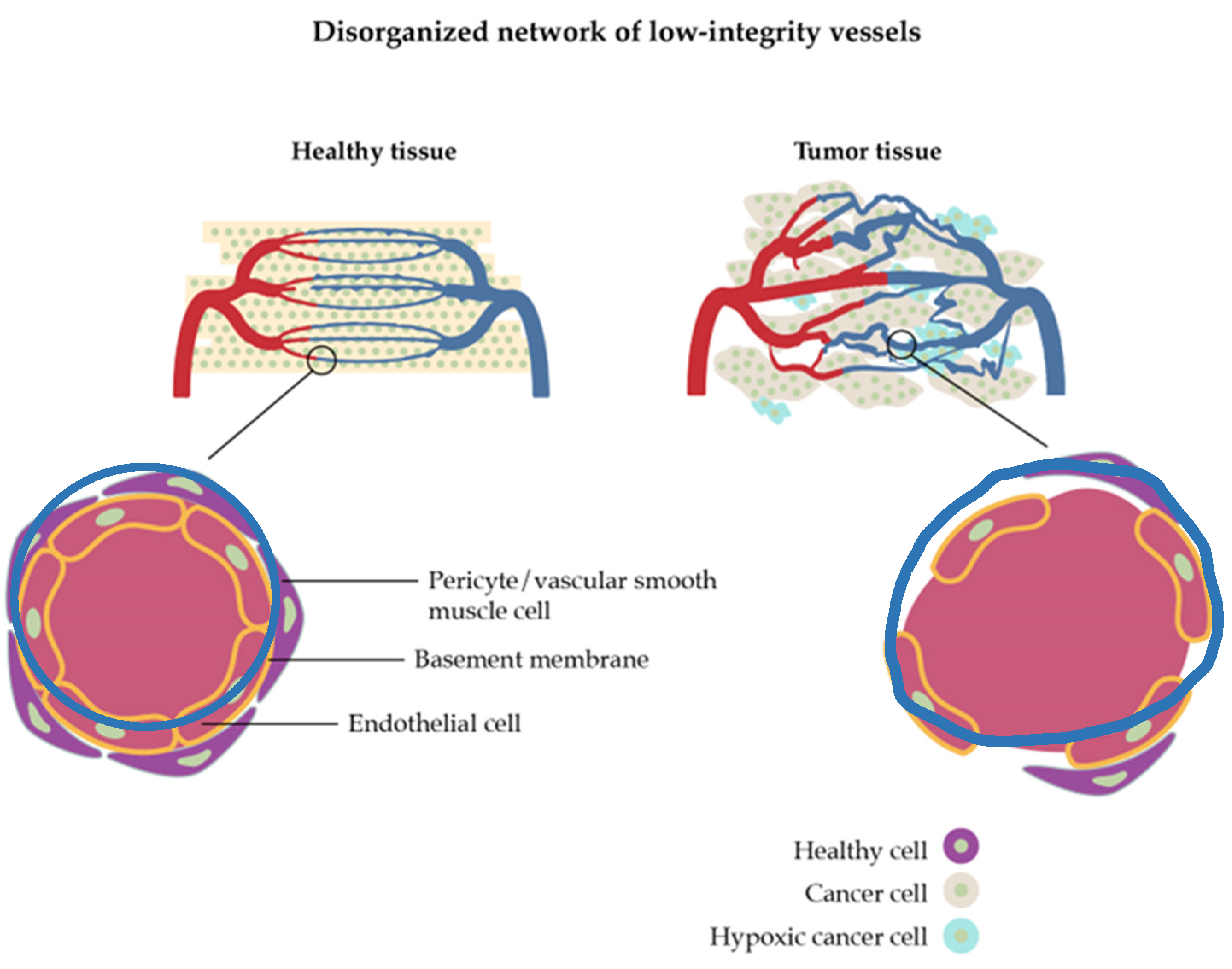Nanomaterials 13 02887 g003