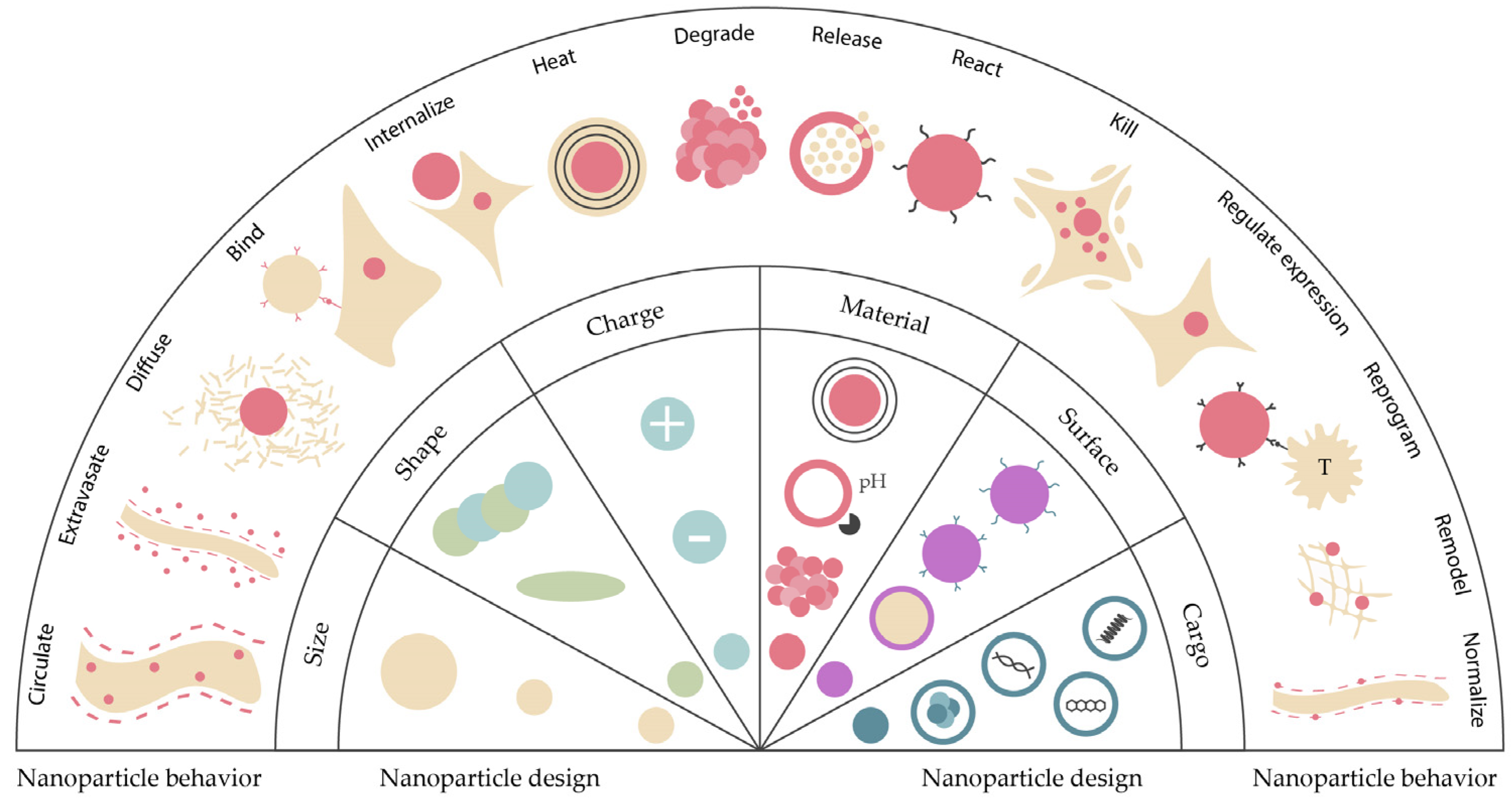 Nanomaterials 13 02887 g004