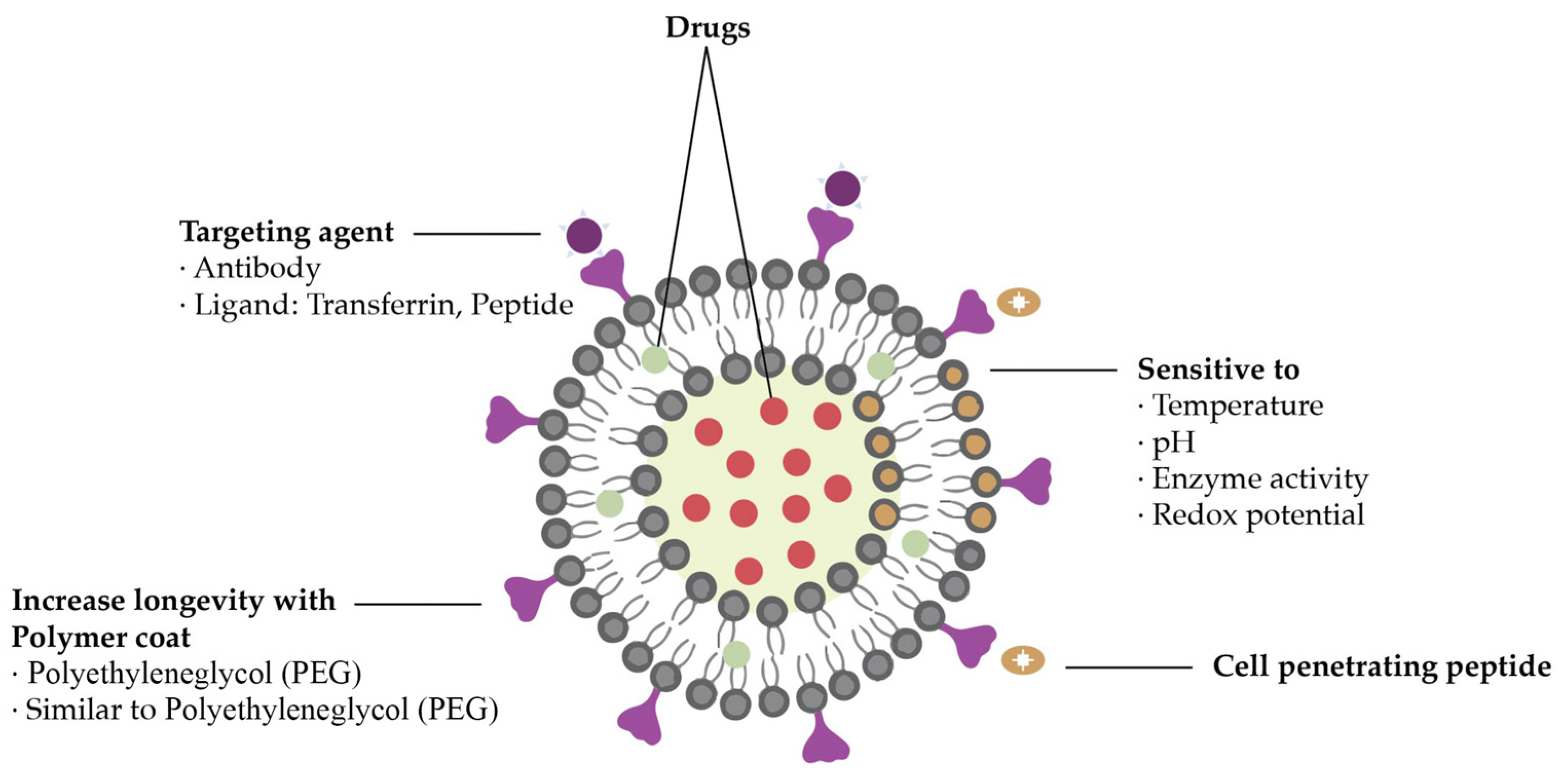 Nanomaterials 13 02887 g008
