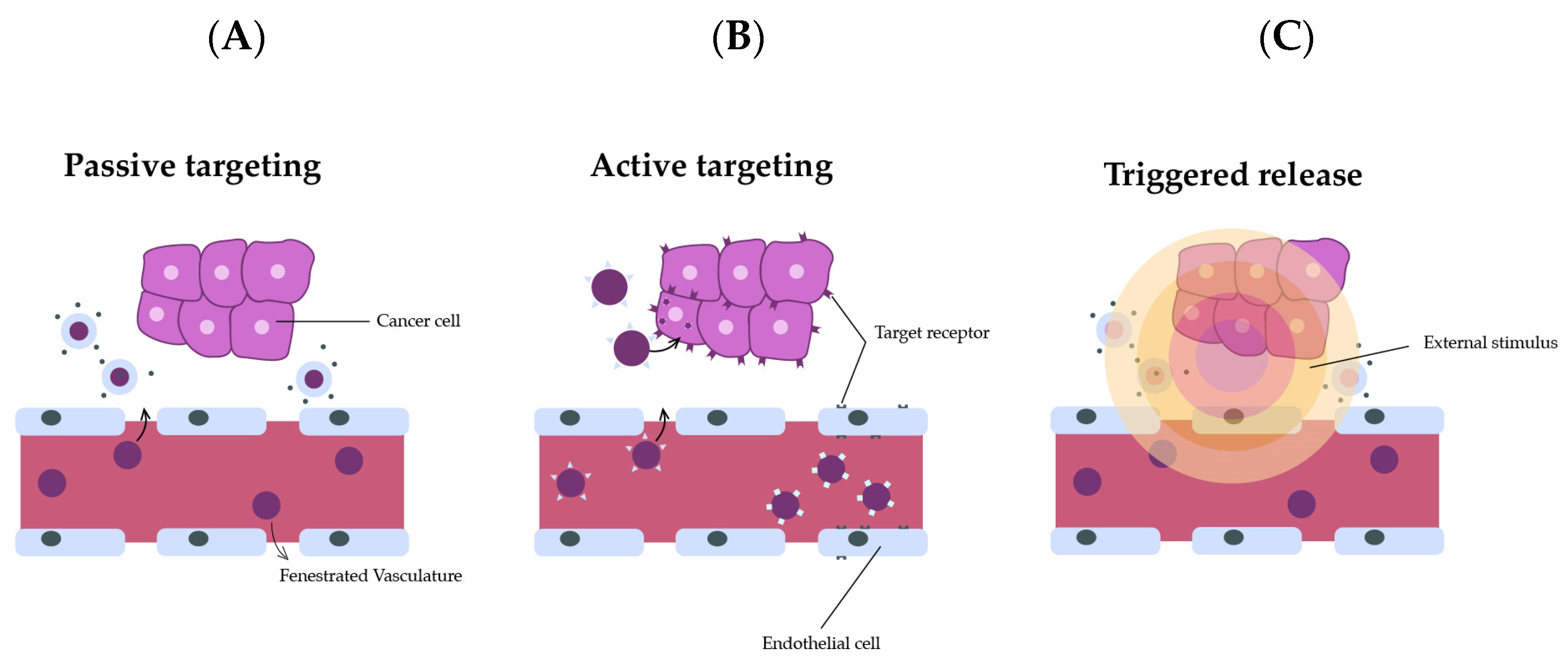 Nanomaterials 13 02887 g012
