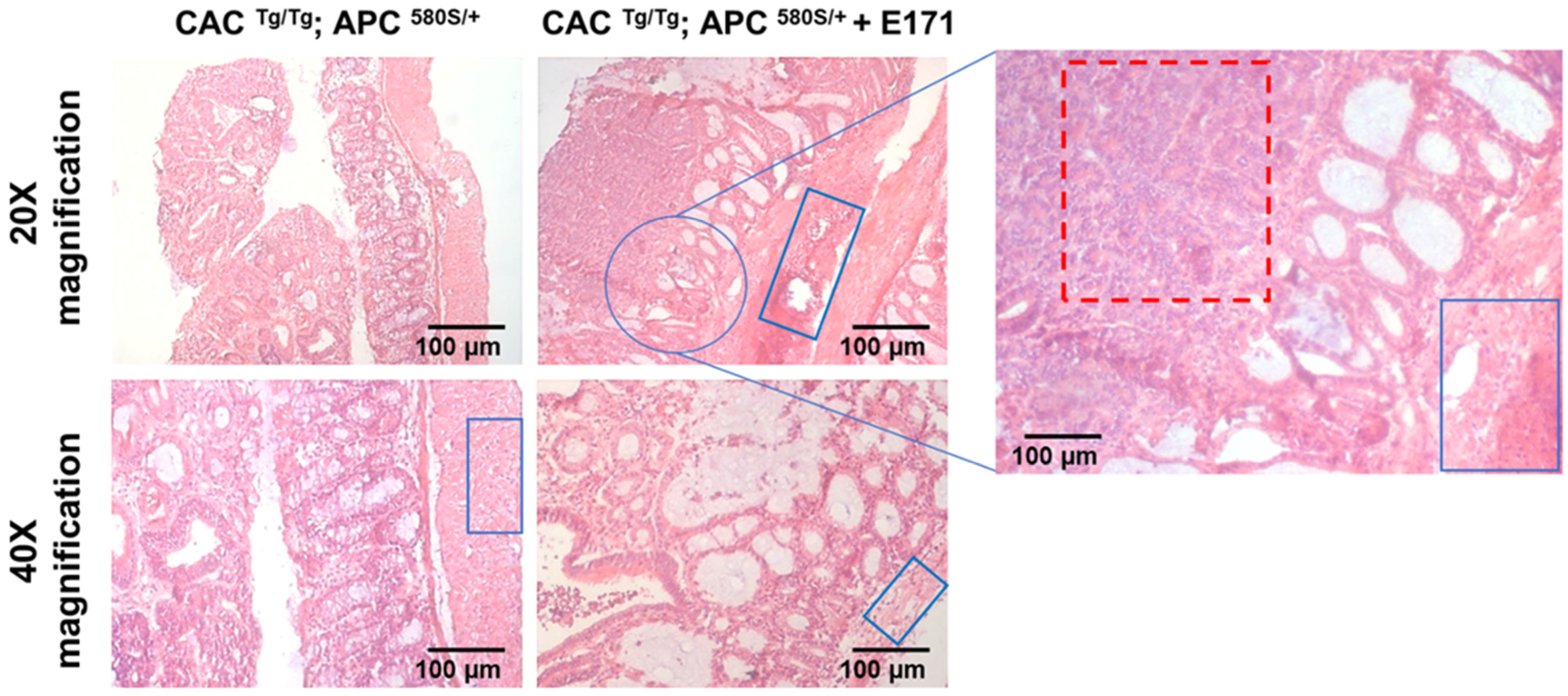 Nanomaterials 13 02888 g002