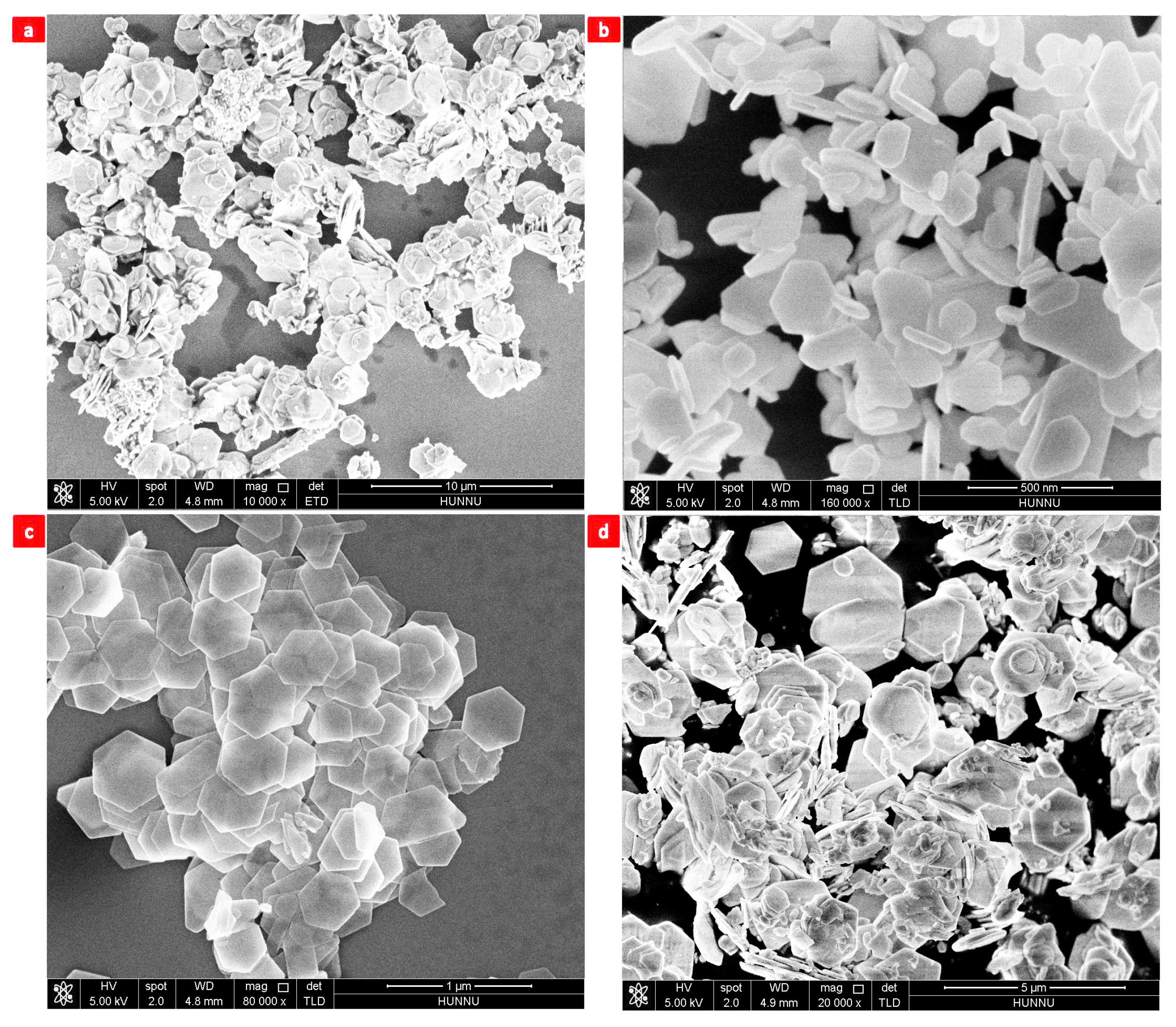 Nanomaterials 13 02894 g004