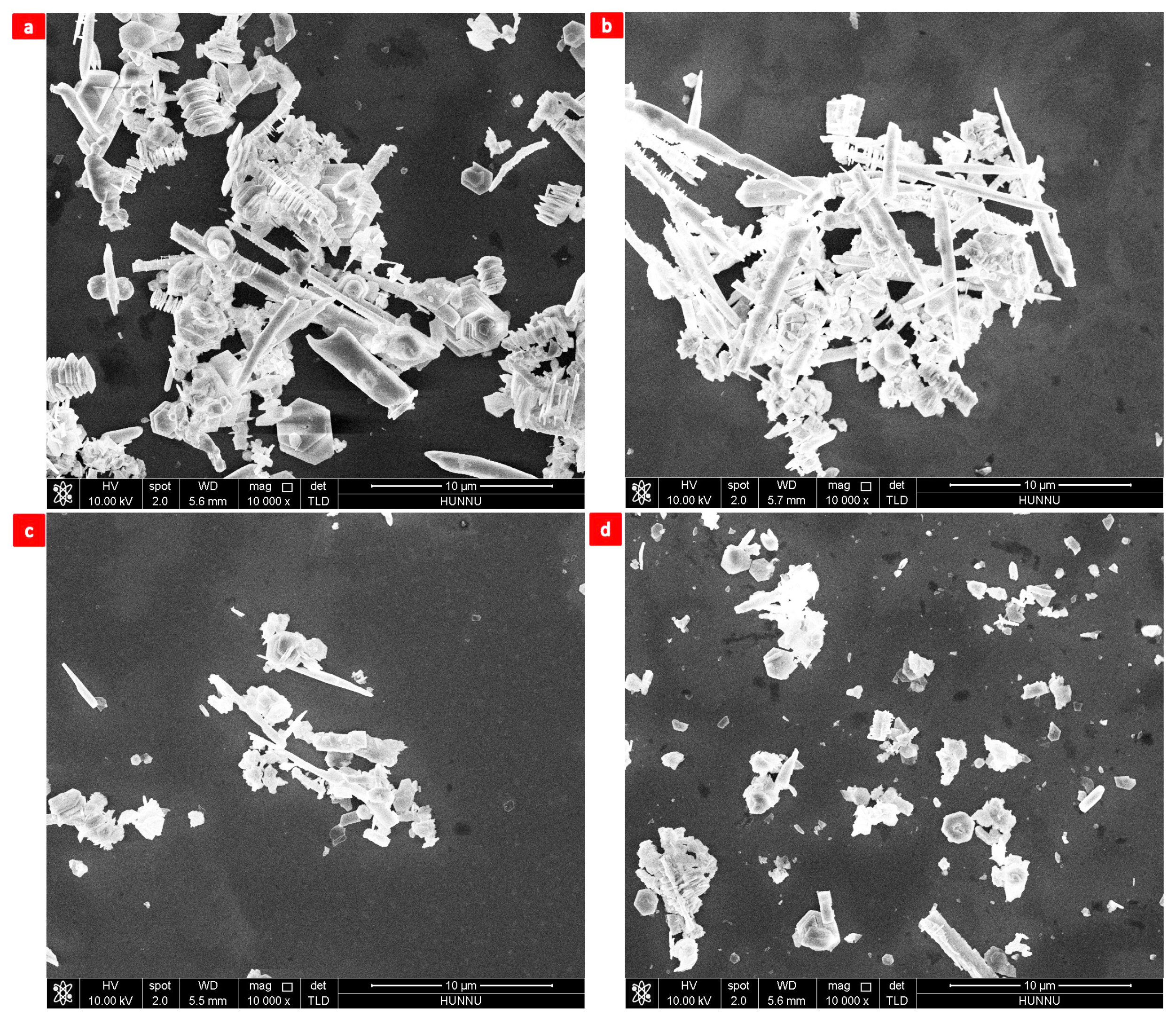 Nanomaterials 13 02894 g006