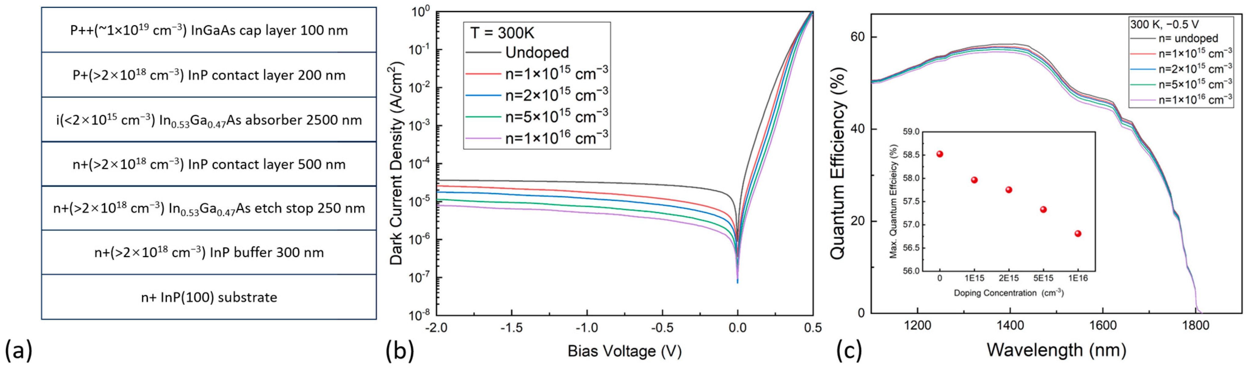 Nanomaterials 13 02895 g001