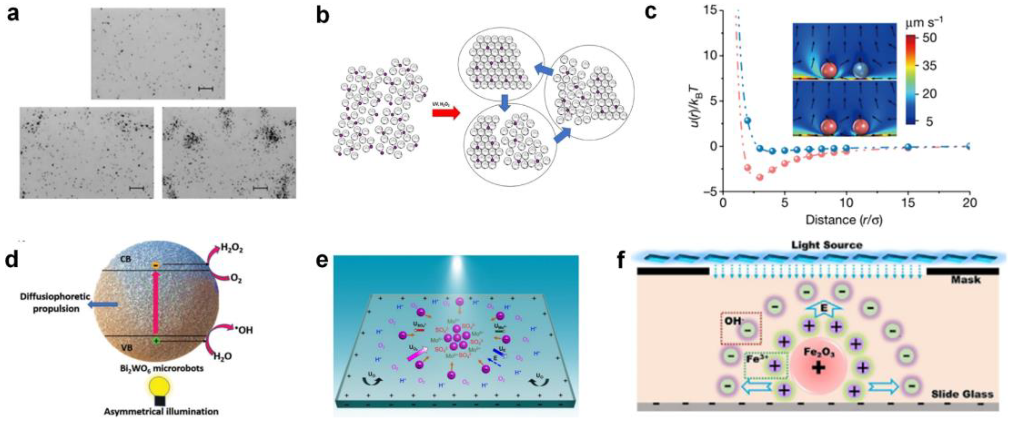 Nanomaterials 13 02900 g001