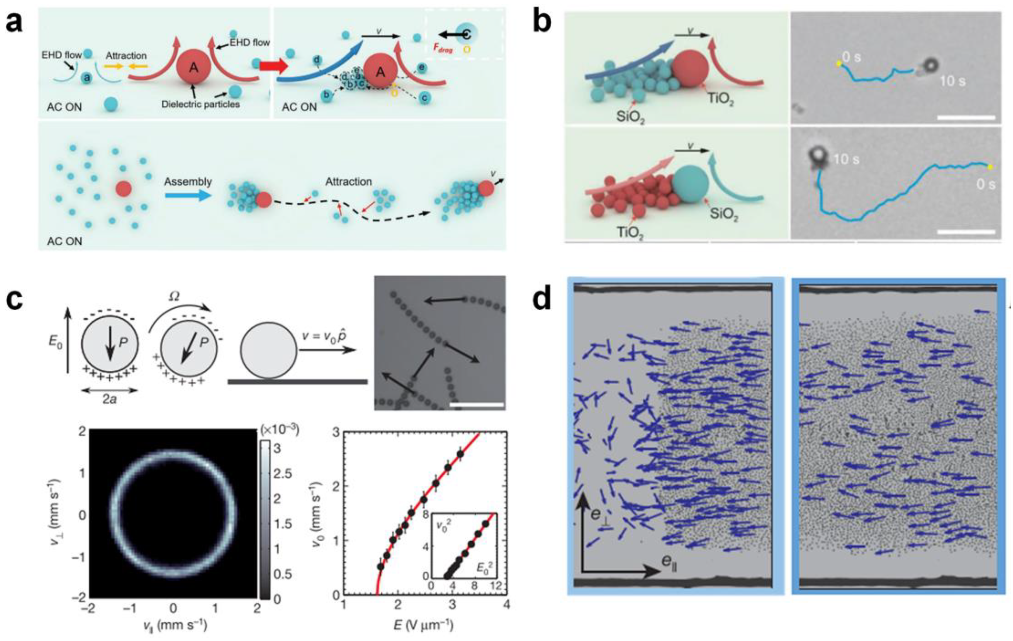 Nanomaterials 13 02900 g006