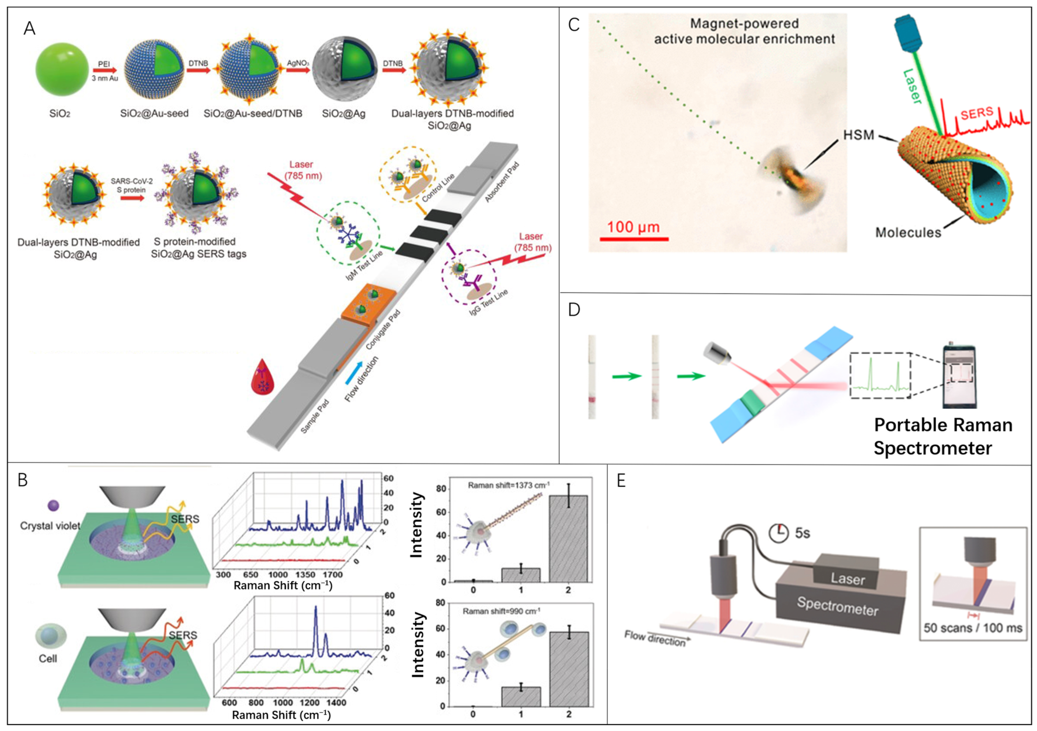 Nanomaterials 13 02902 g002