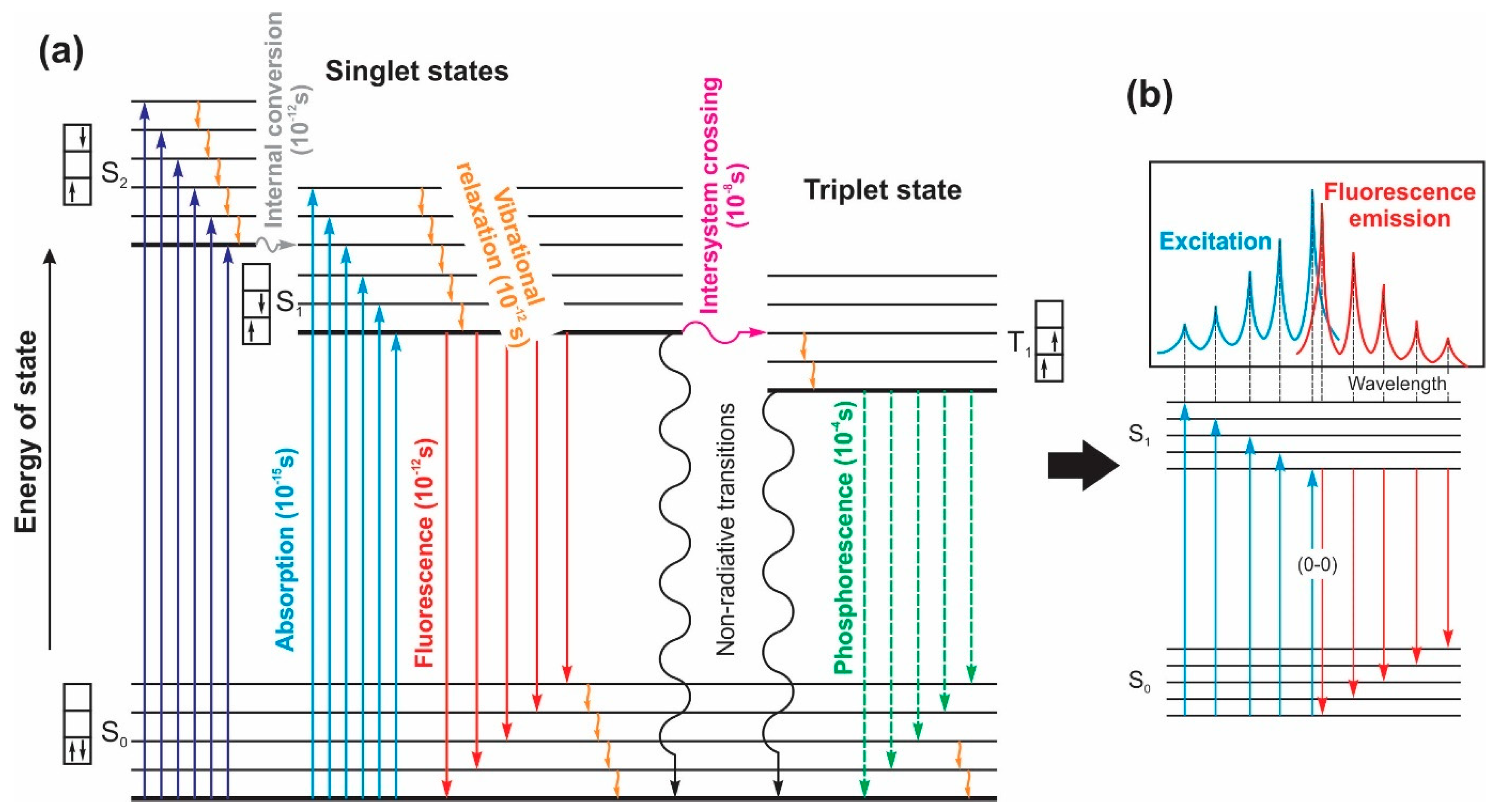 Nanomaterials 13 02904 g010