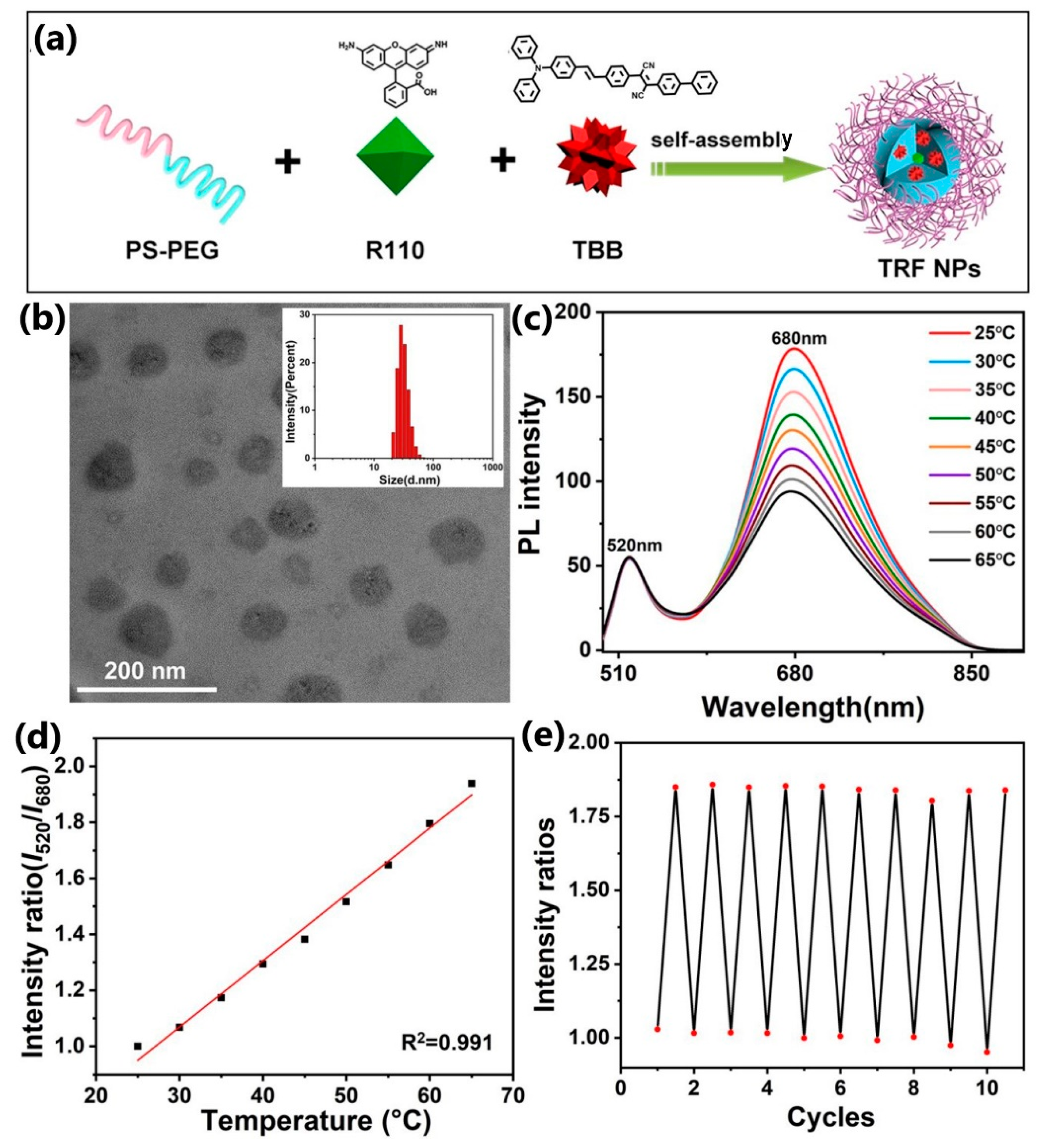 Nanomaterials 13 02904 g011