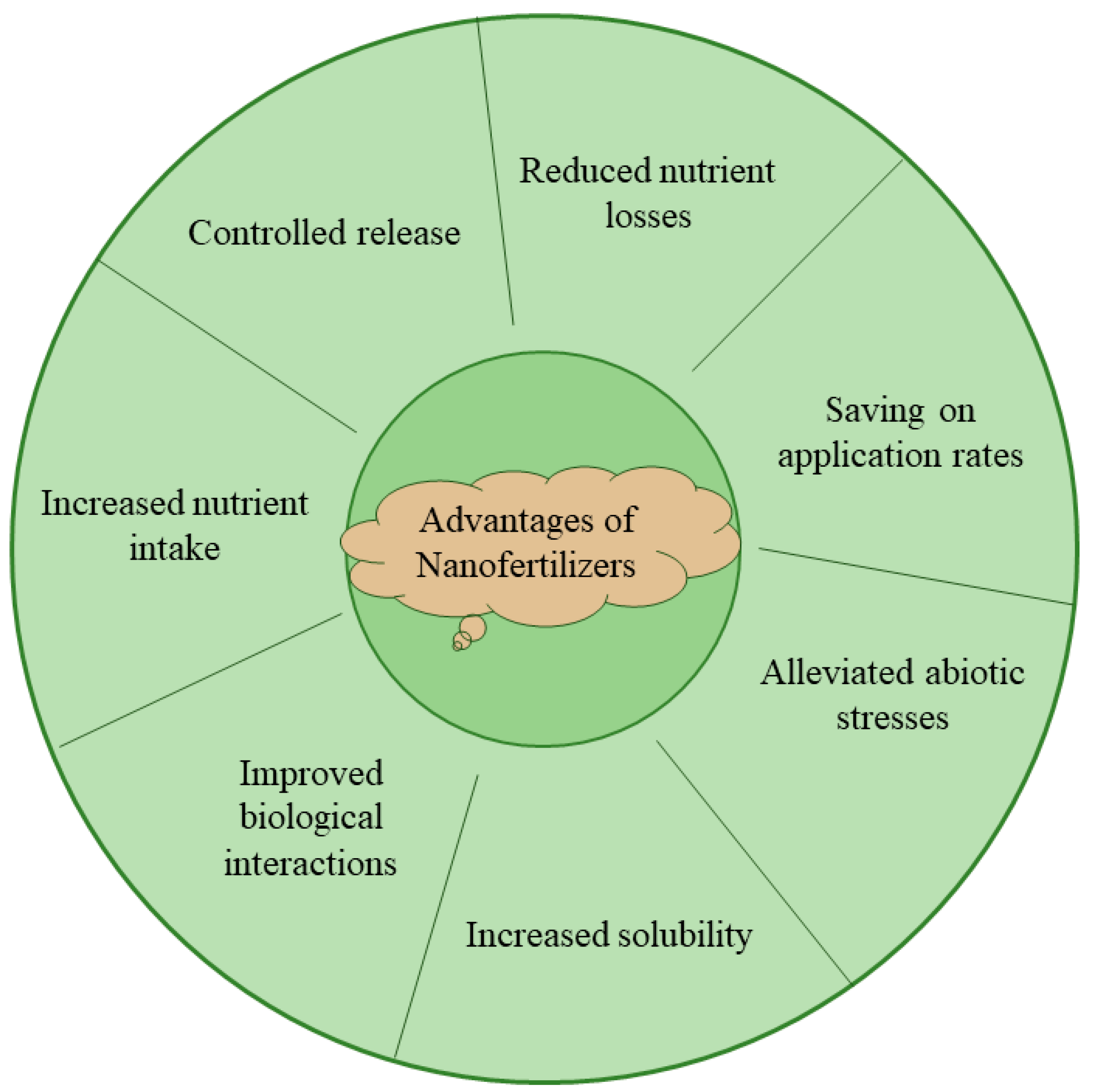 Nanomaterials 13 02906 g001