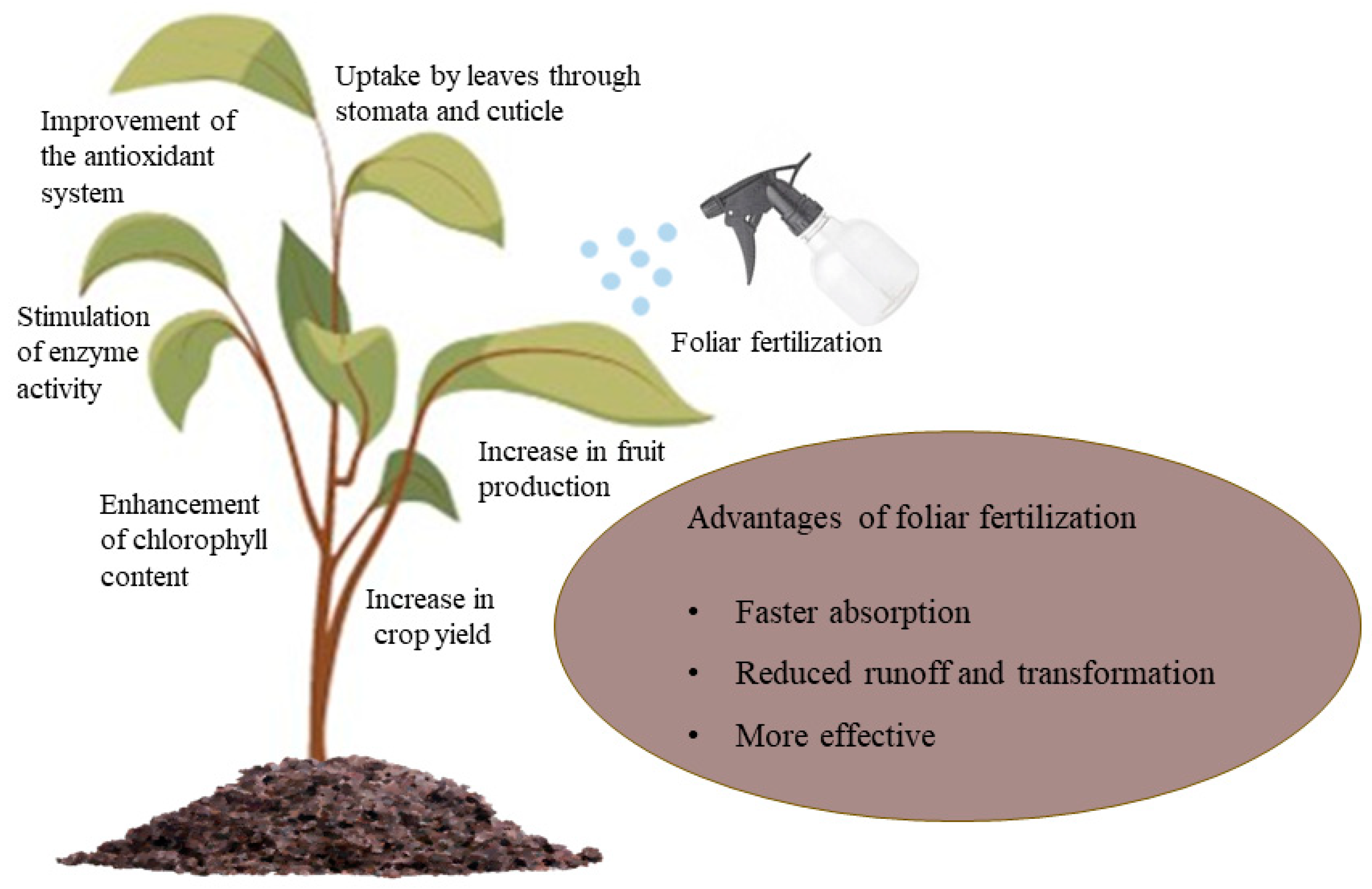 Nanomaterials 13 02906 g003