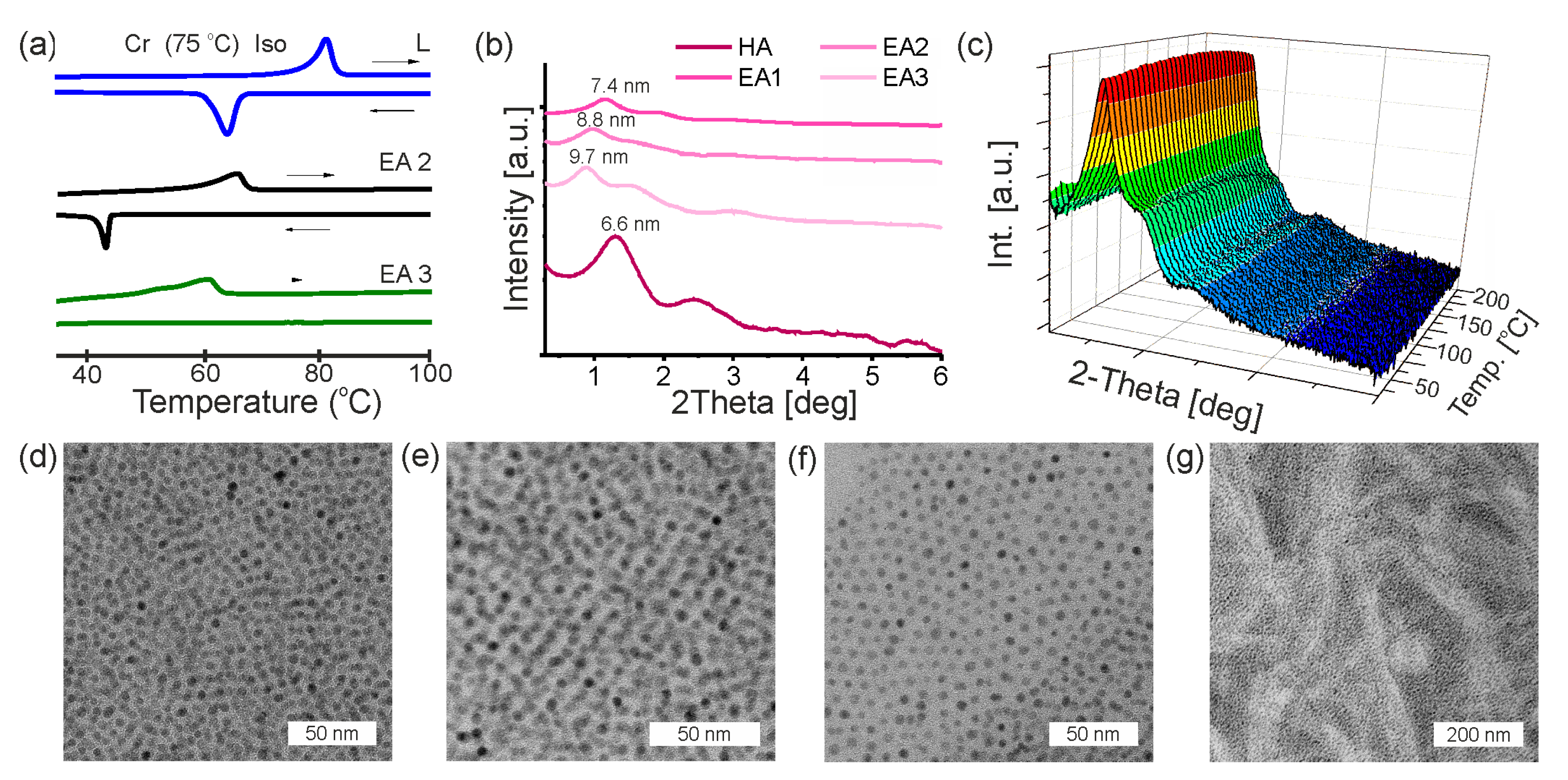 Nanomaterials 13 02908 g003