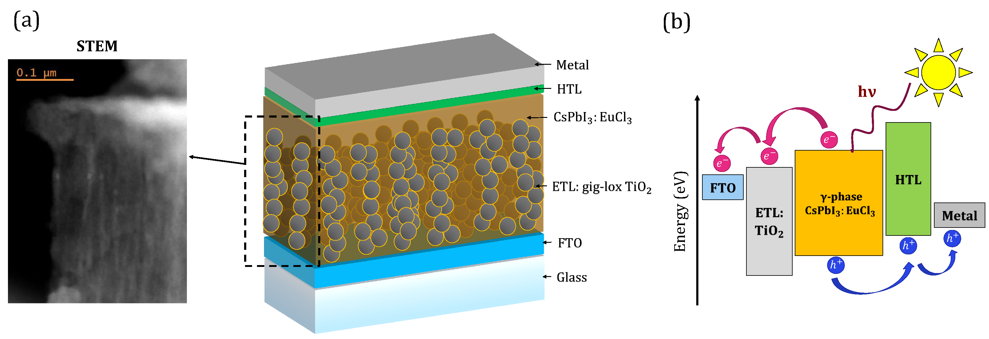 Nanomaterials 13 02910 g001