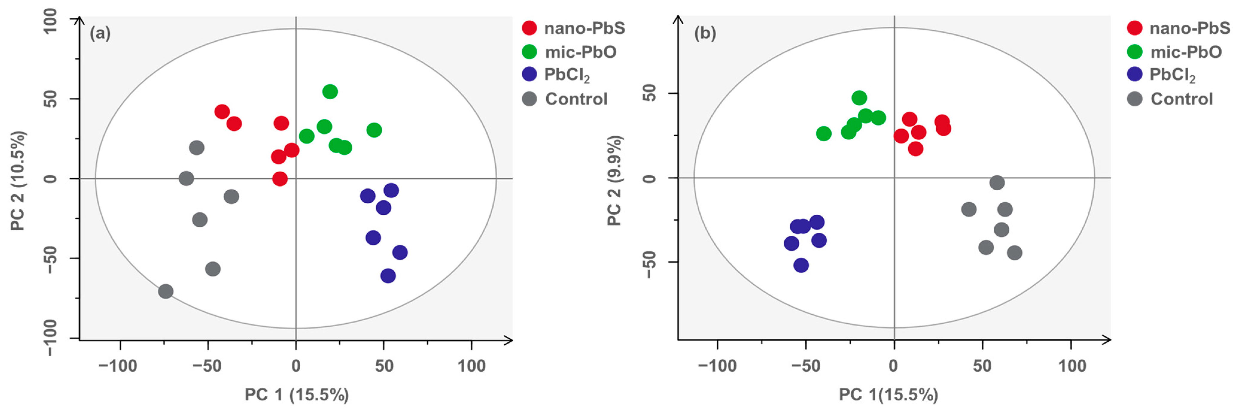 Nanomaterials 13 02911 g002