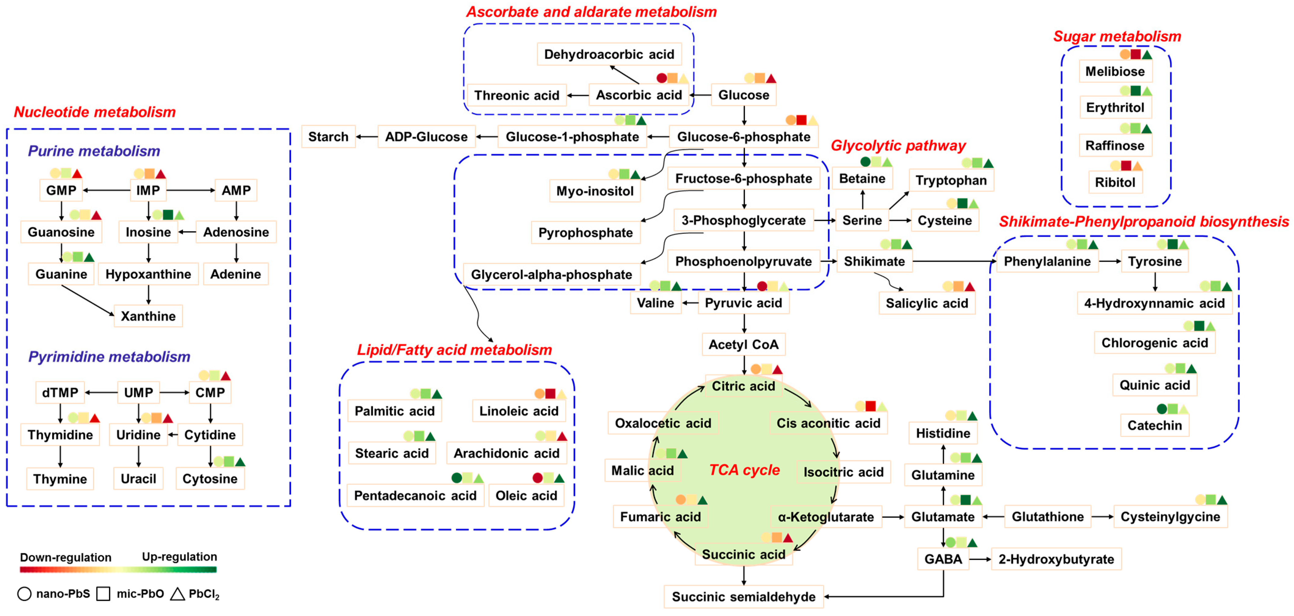 Nanomaterials 13 02911 g005