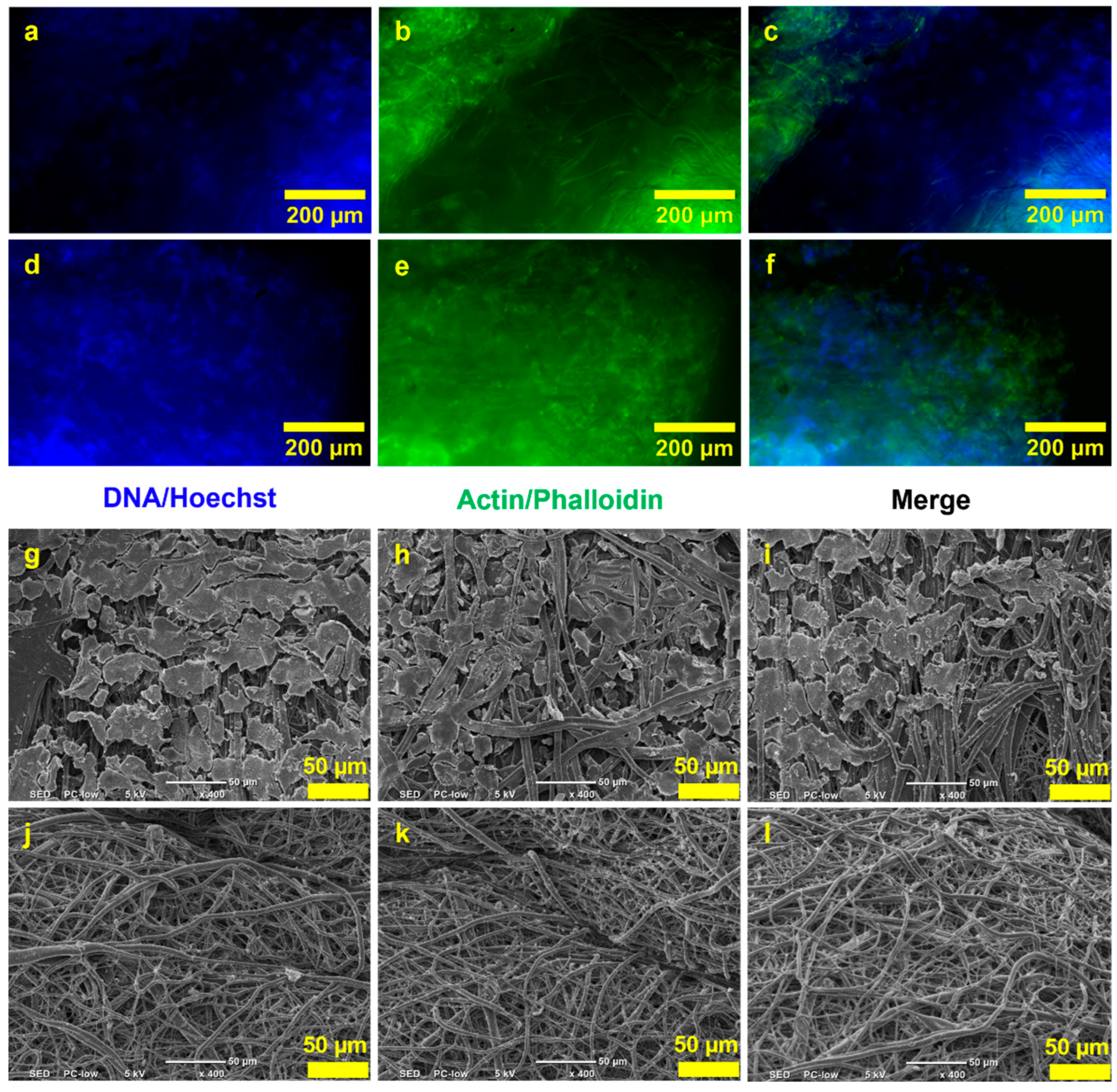 Nanomaterials 13 02913 g007