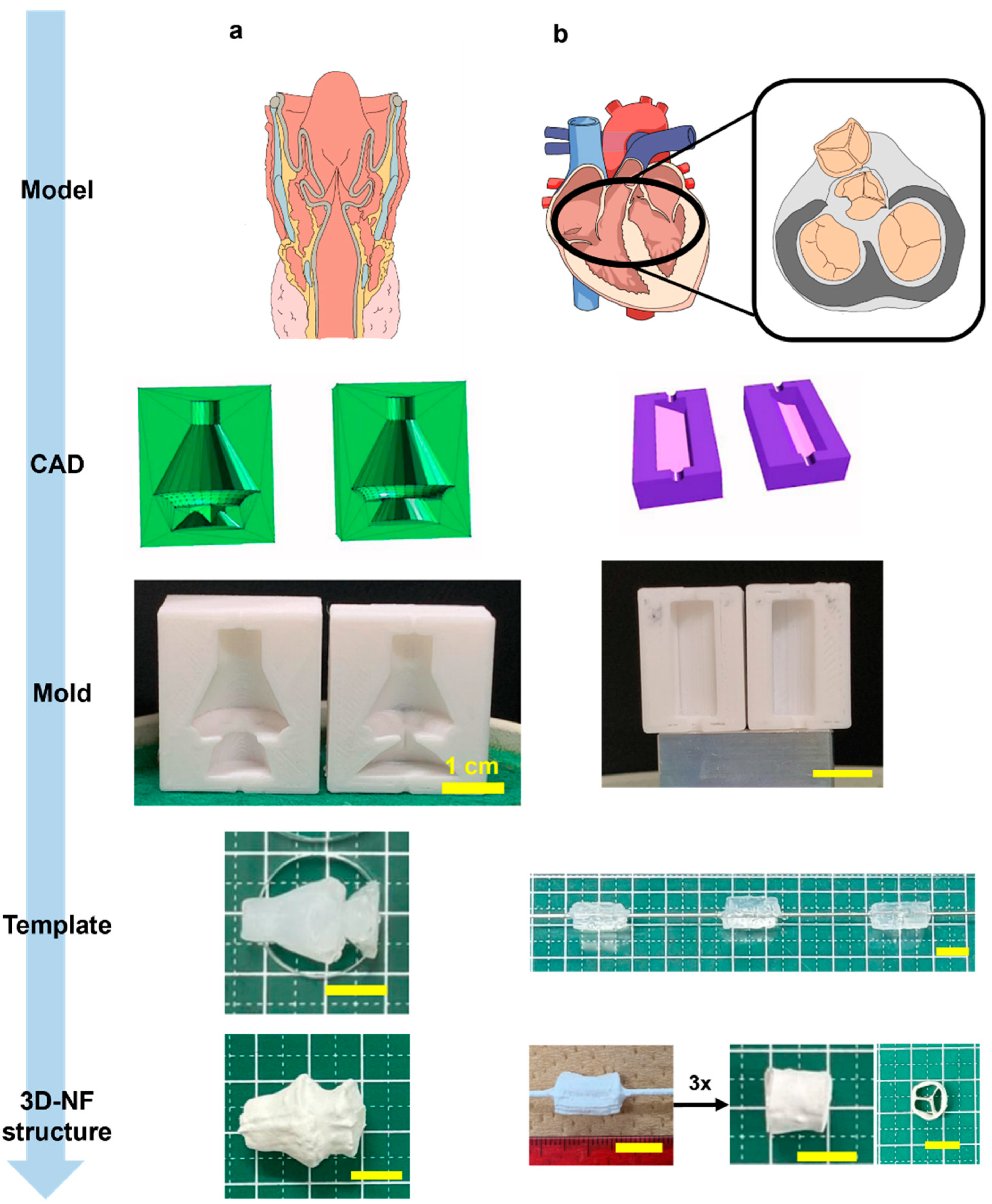 Nanomaterials 13 02913 g008