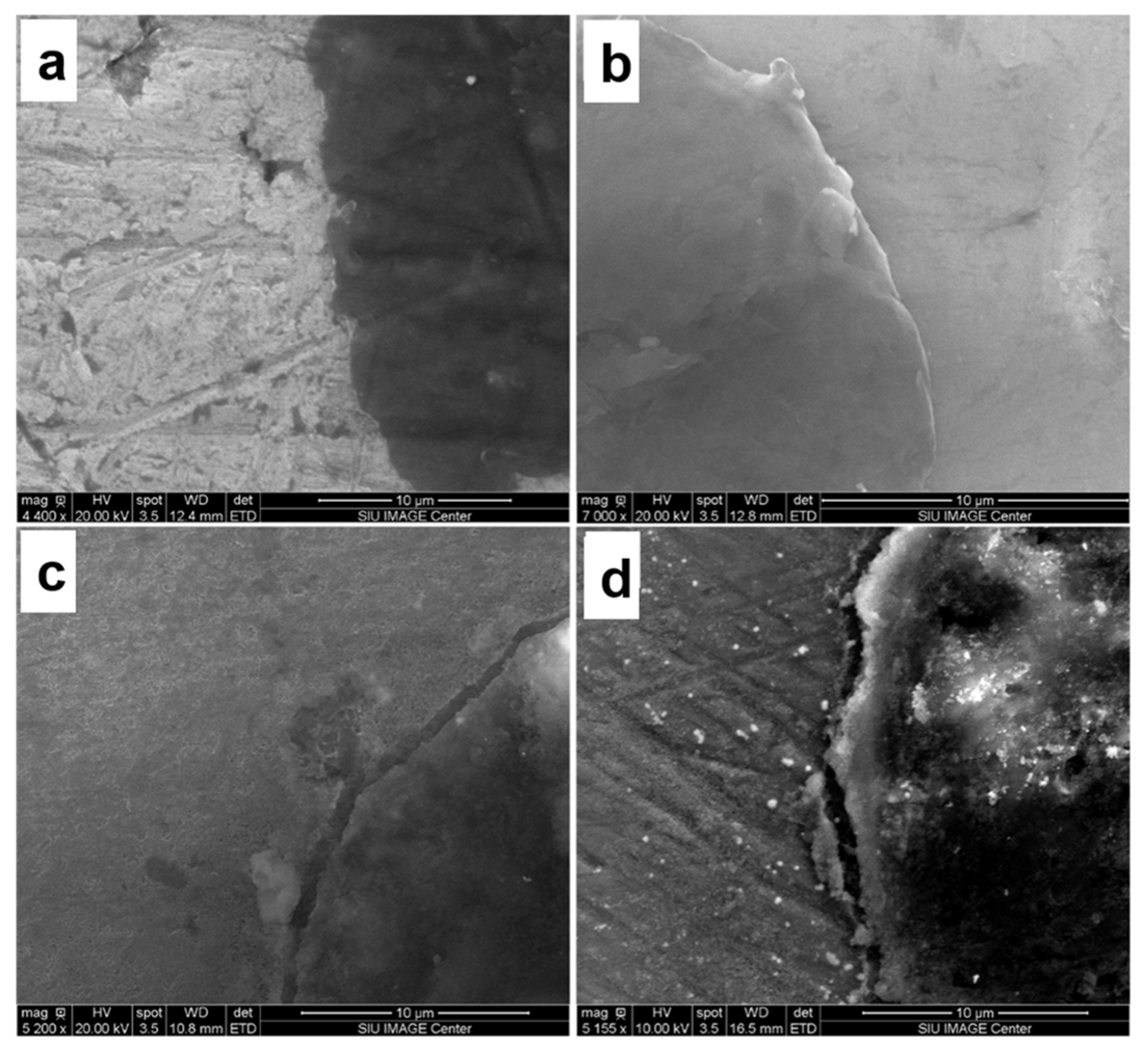 Nanomaterials 13 02917 g003