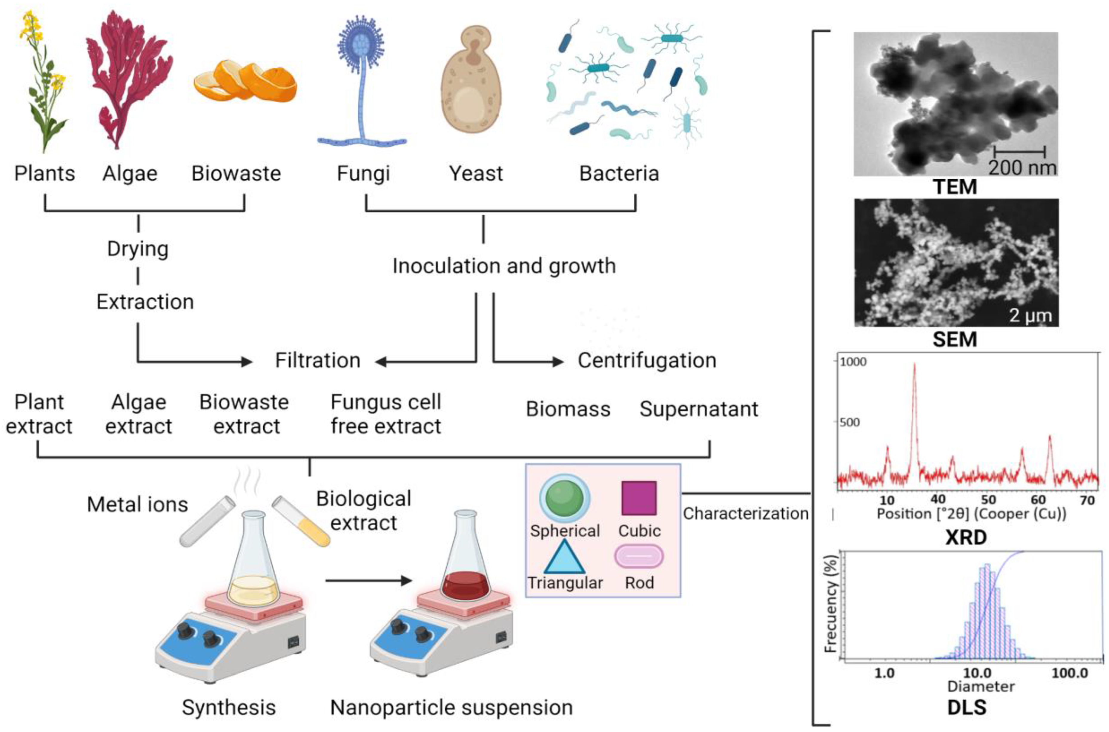 Nanomaterials 13 02919 g001