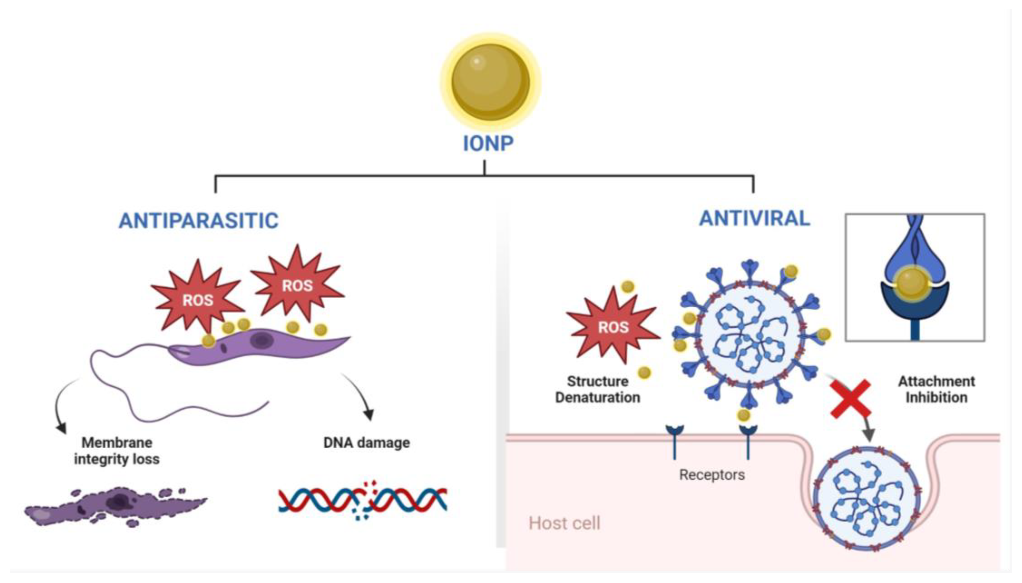 Nanomaterials 13 02919 g002
