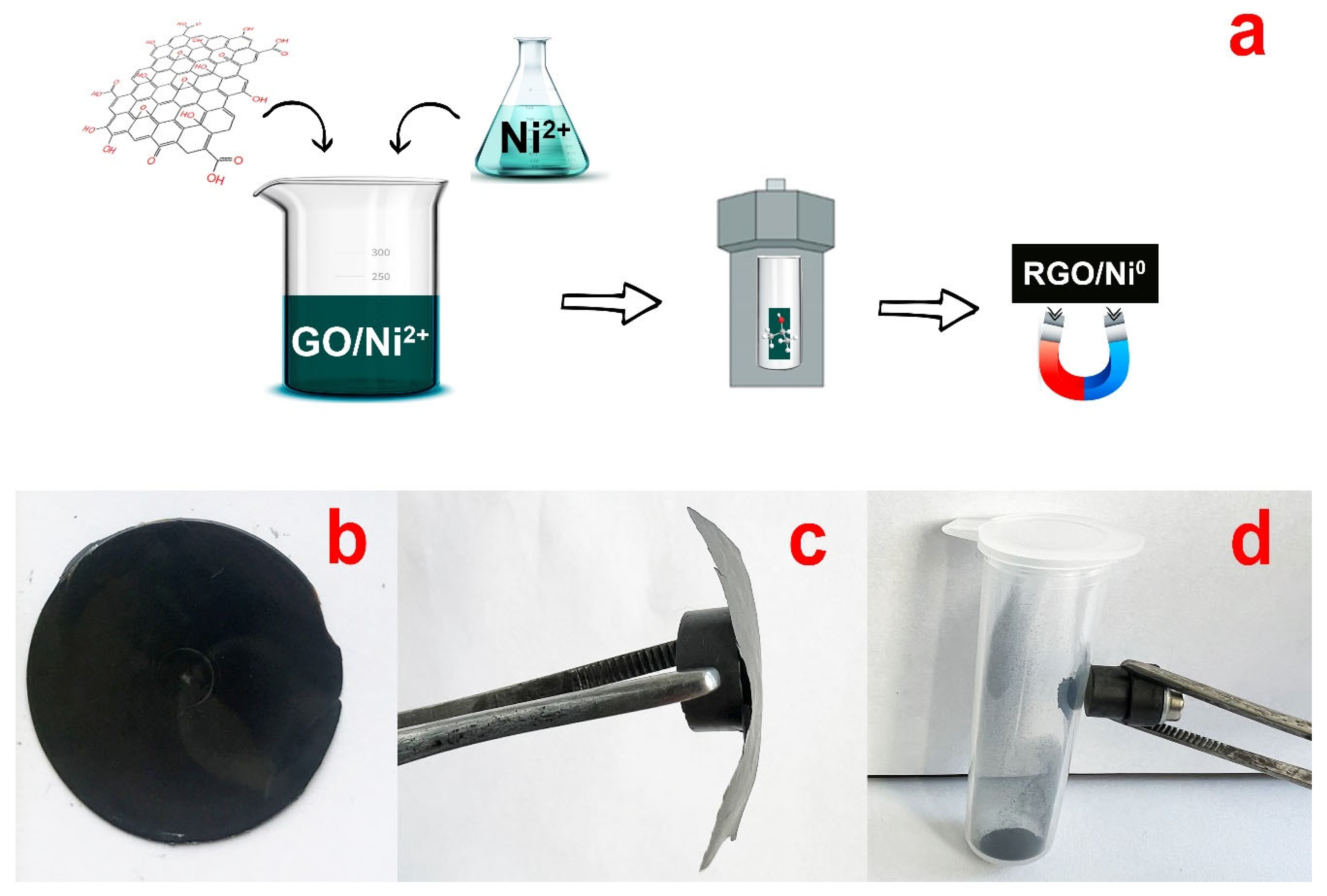 Nanomaterials 13 02923 g001 Nanomaterials 13 02923 g001