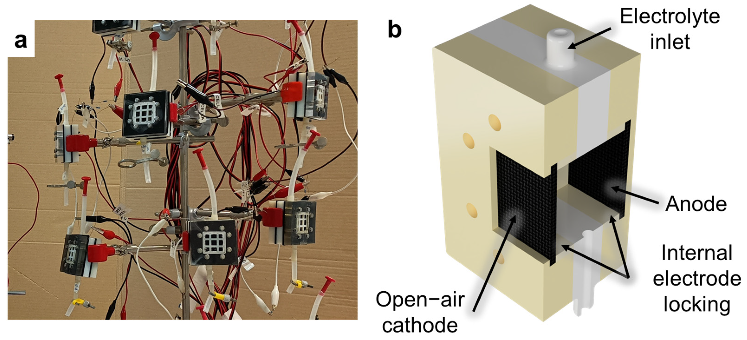Nanomaterials 13 02926 g002