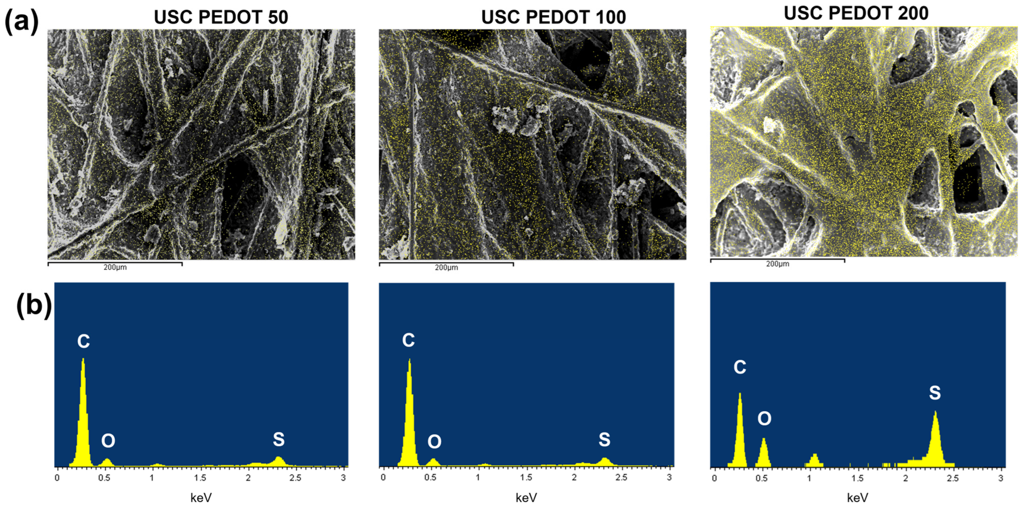 Nanomaterials 13 02926 g004