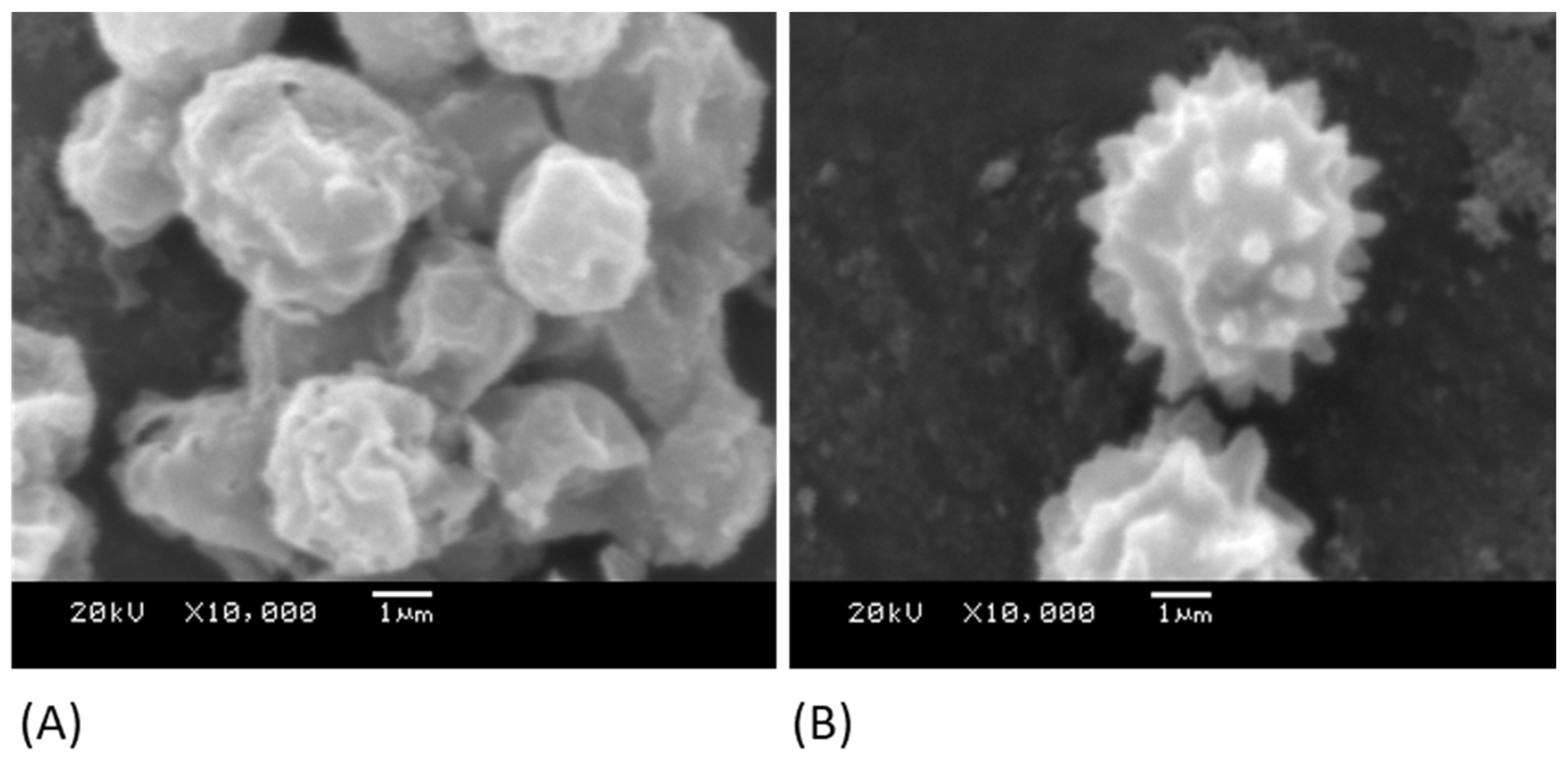 Nanomaterials 13 02932 g003