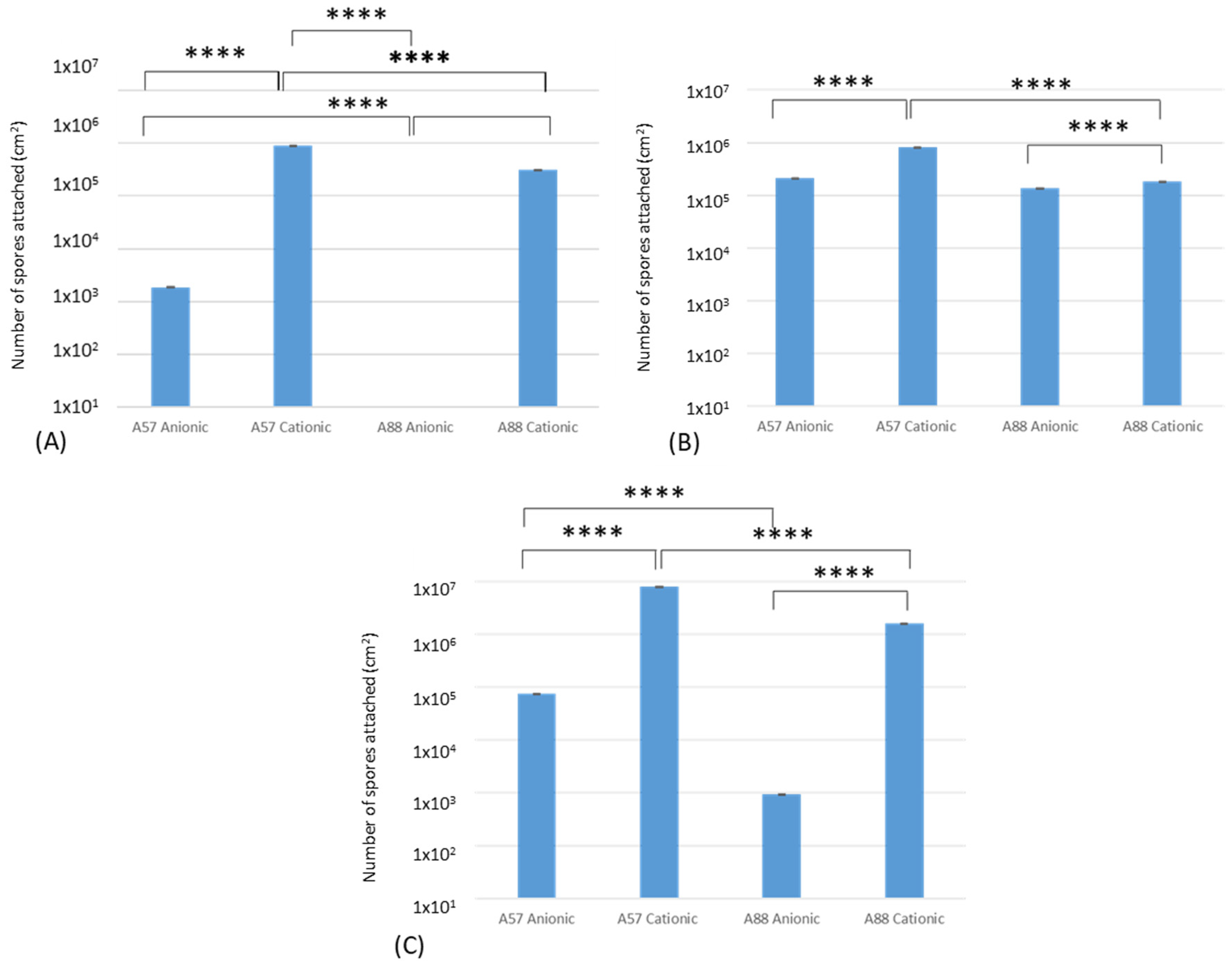 Nanomaterials 13 02932 g006