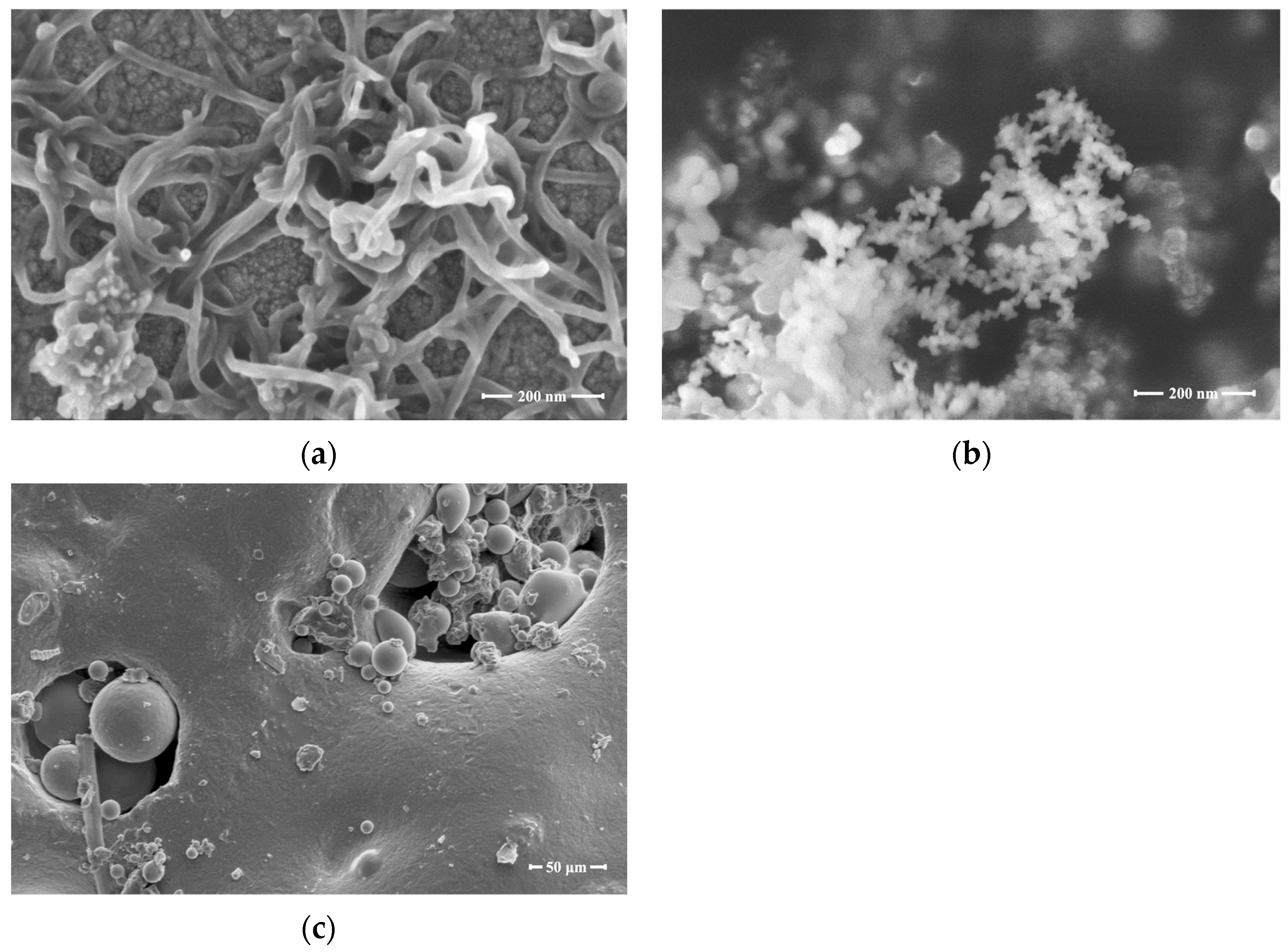 Nanomaterials 13 02942 g001