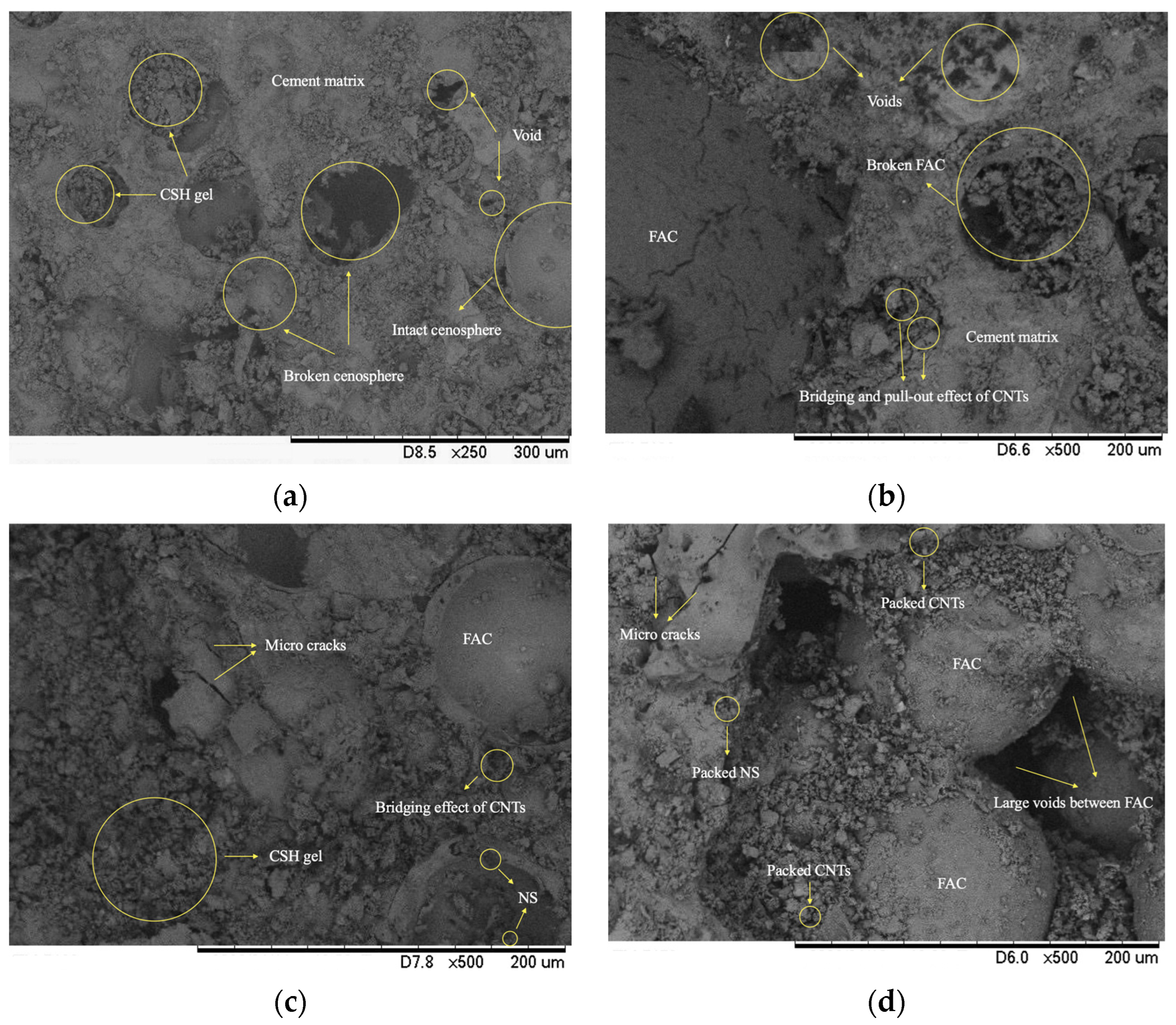 Nanomaterials 13 02942 g007