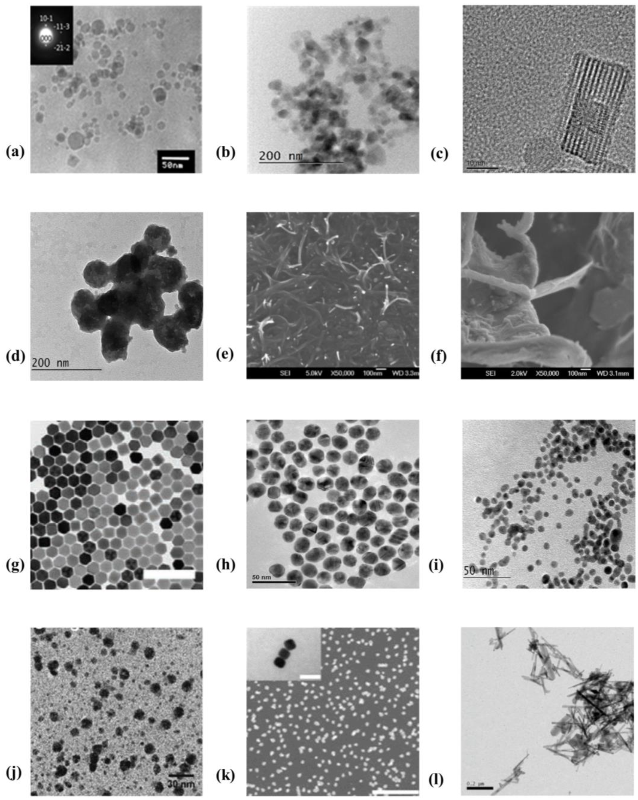 Nanomaterials 13 02946 g001